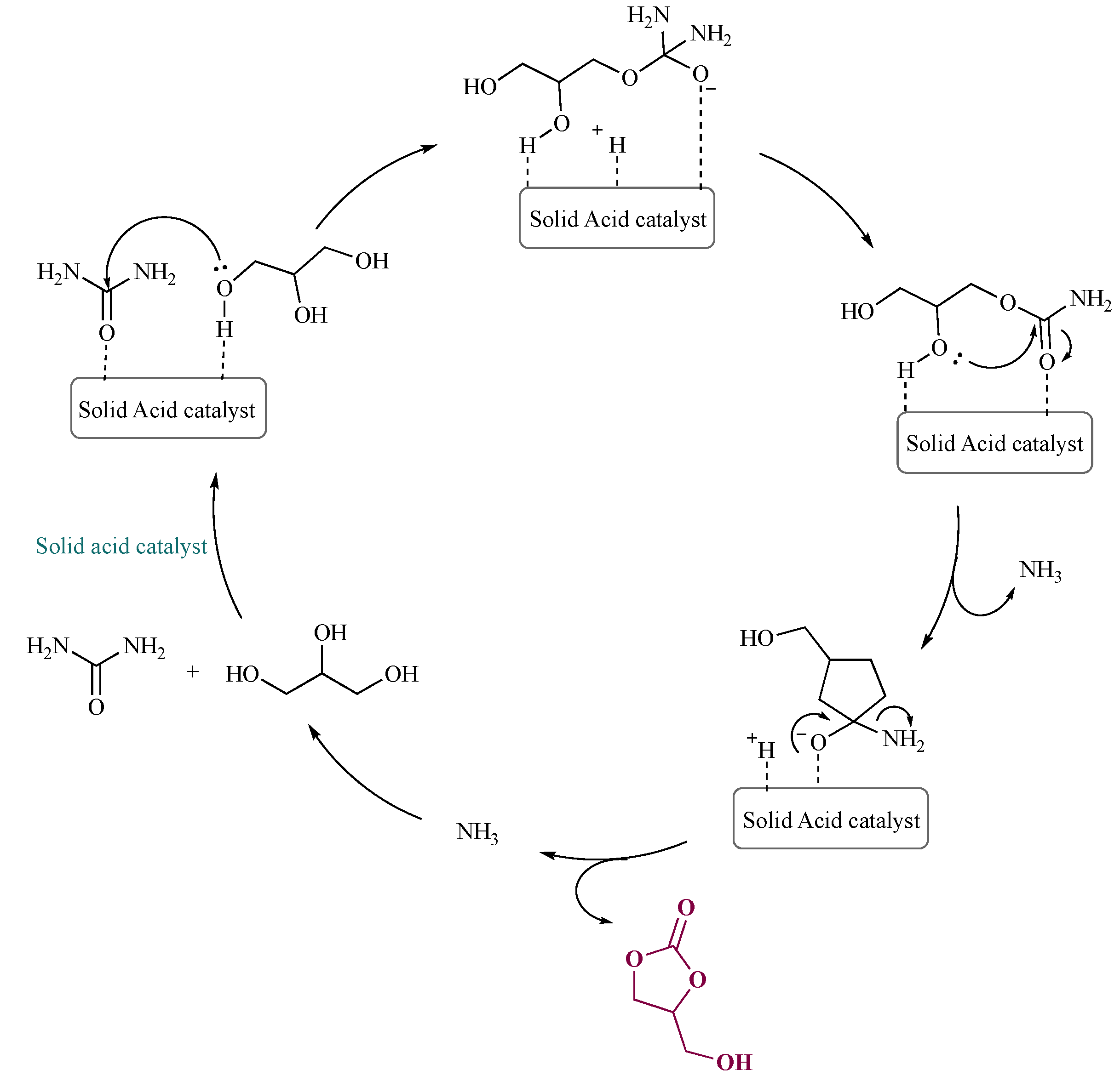 Catalysts 12 00050 sch005 550