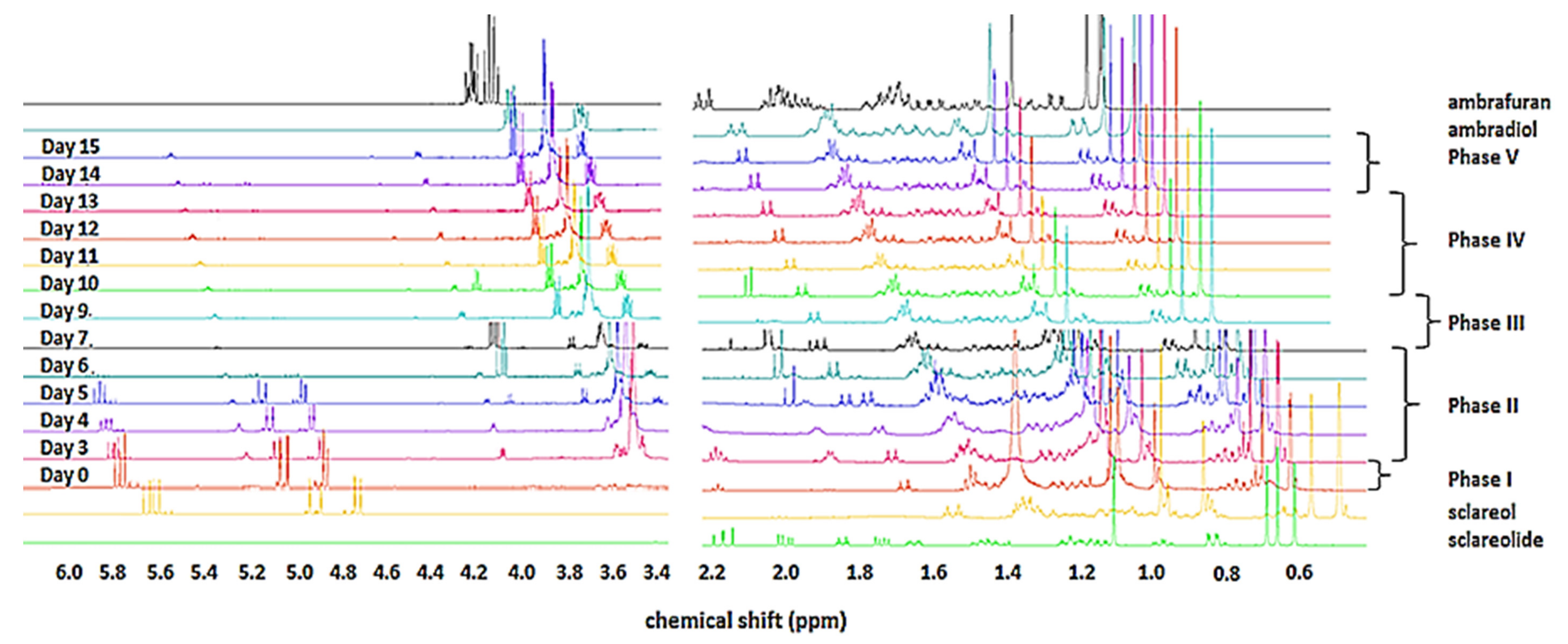 Catalysts 12 00055 g001 550