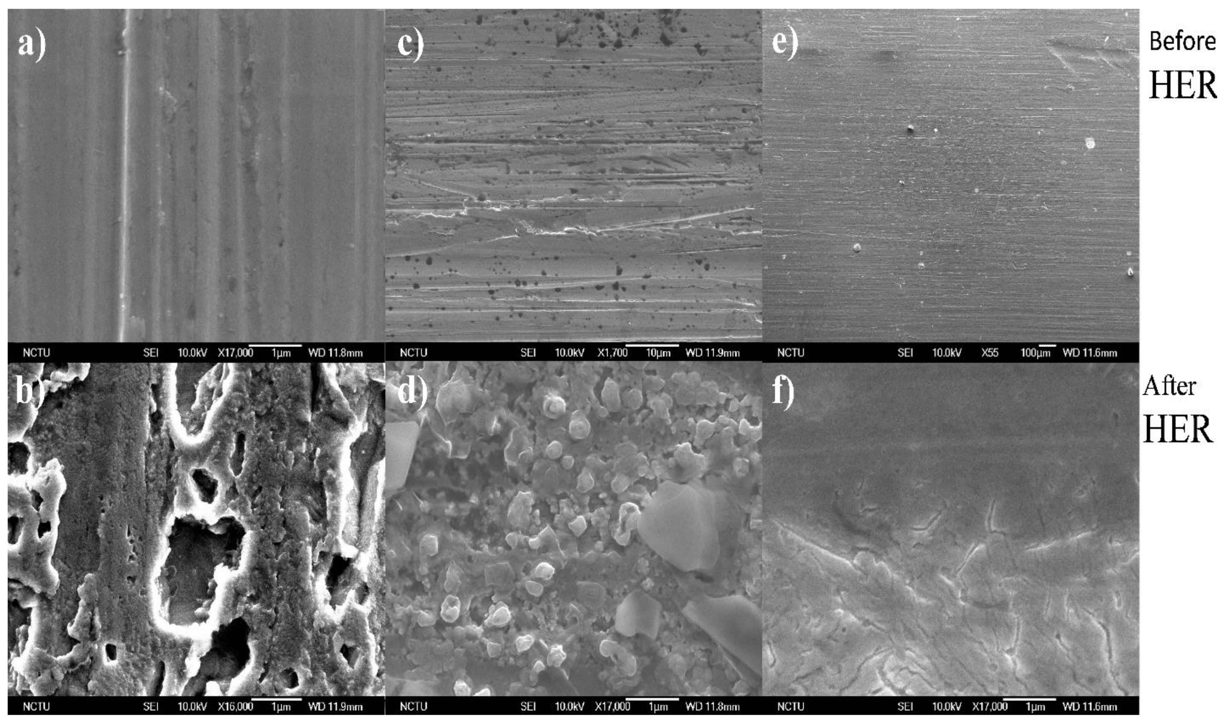 Catalysts 12 00058 g004