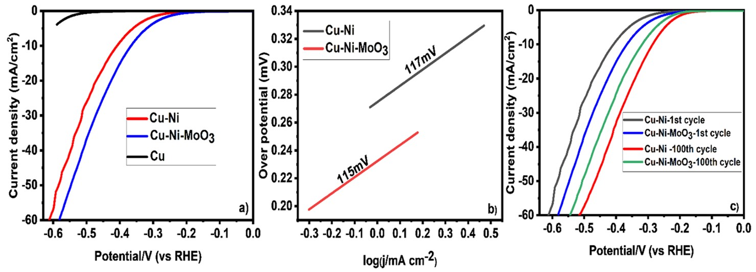 Catalysts 12 00058 g007