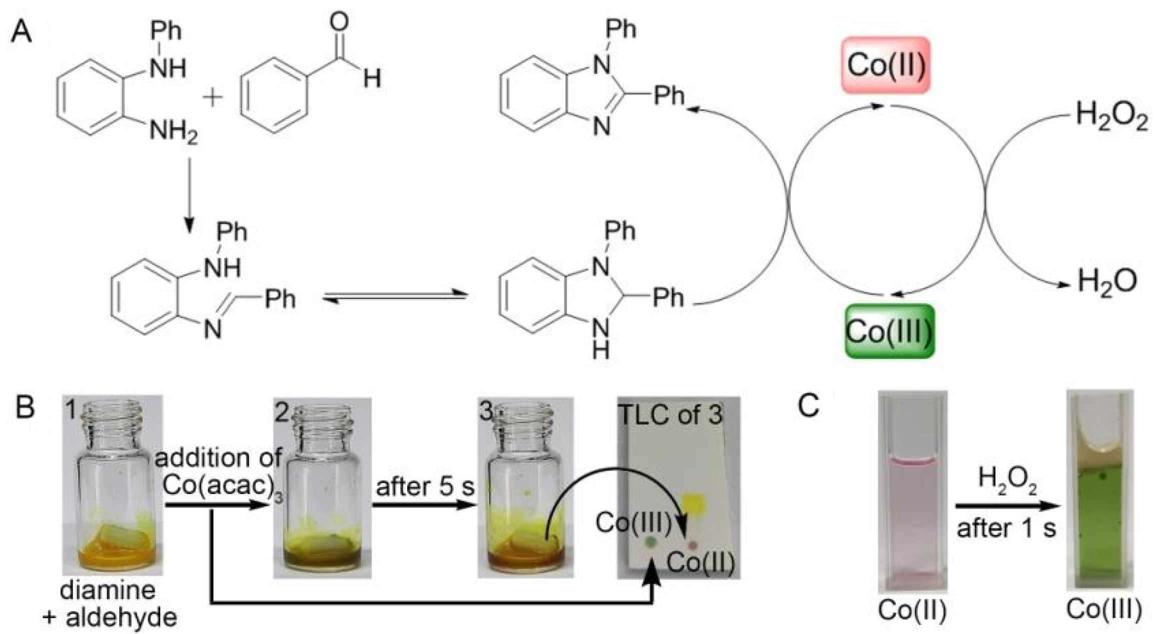 Catalysts 12 00059 g001
