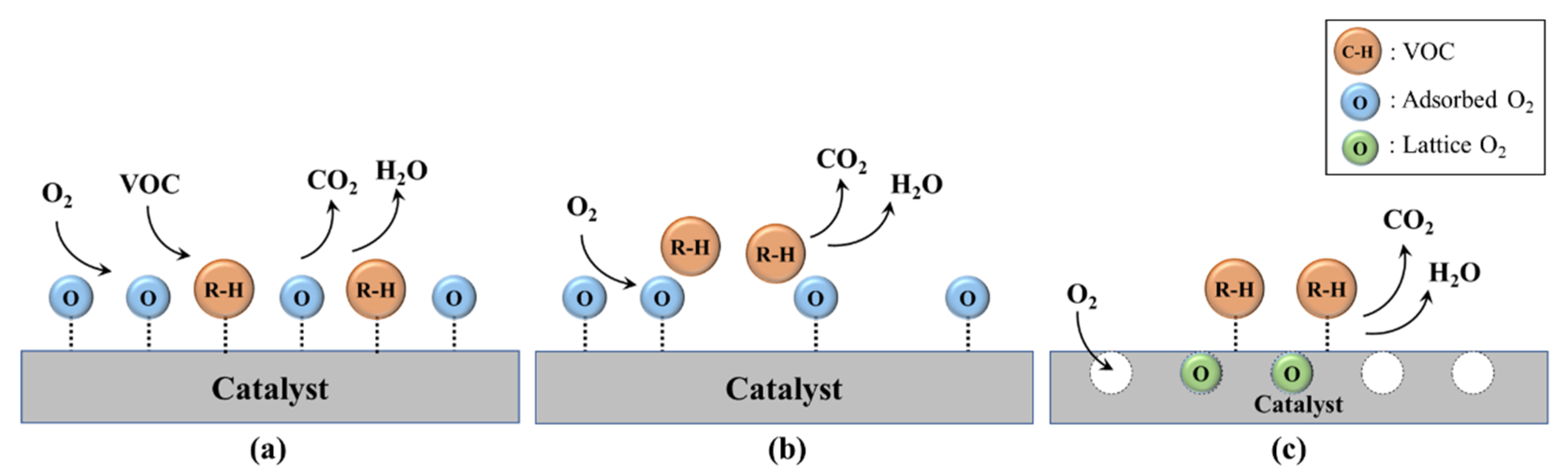 Catalysts 12 00063 g001