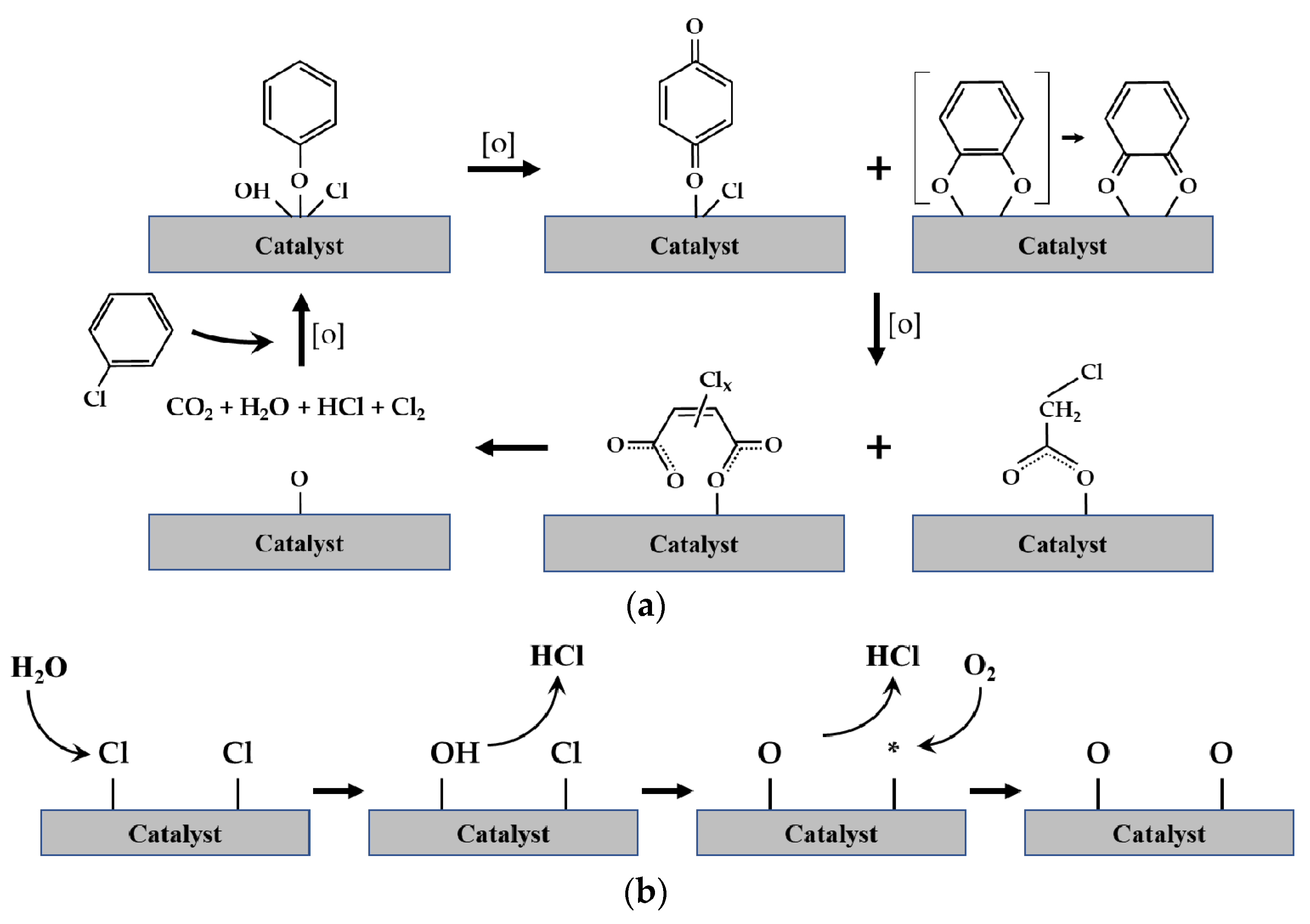 Catalysts 12 00063 g005
