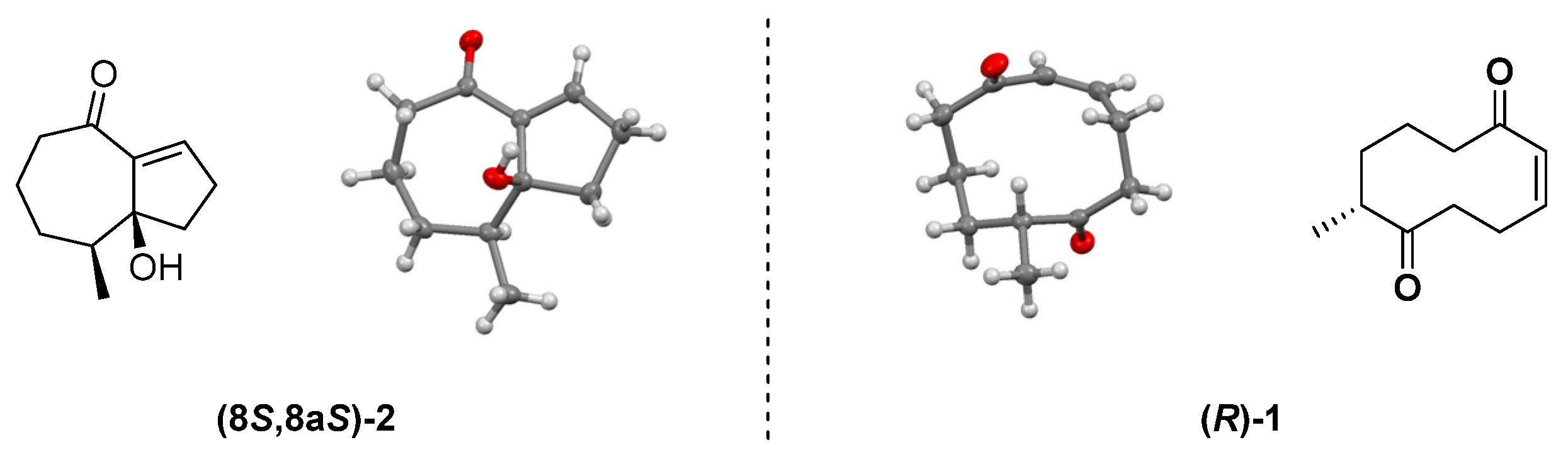 Catalysts 12 00067 g002