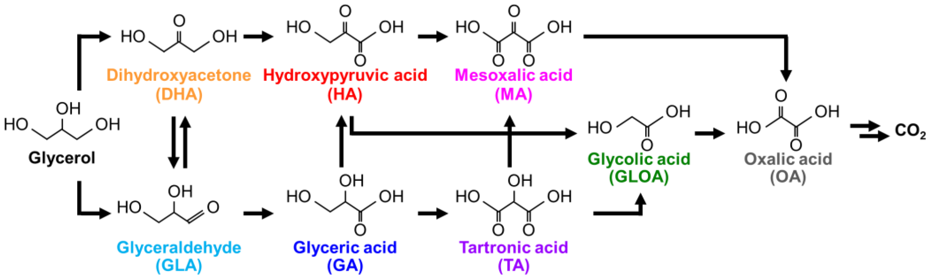 Catalysts 12 00069 g001 550