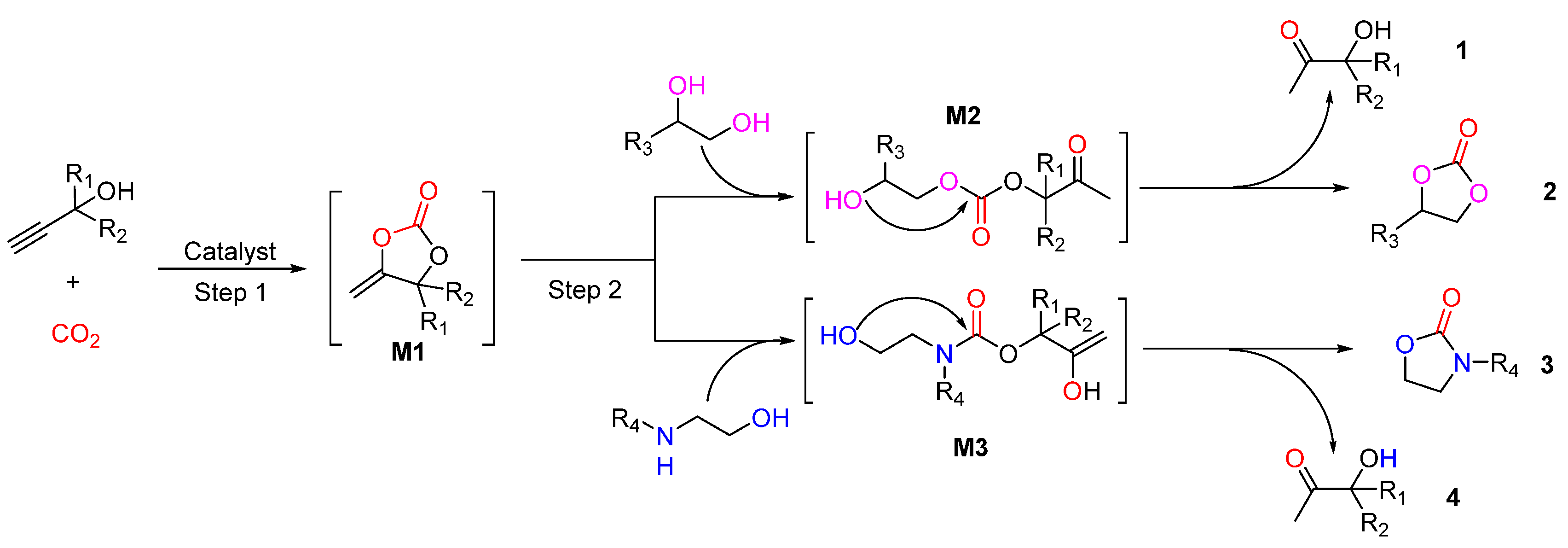 Catalysts 12 00073 sch046