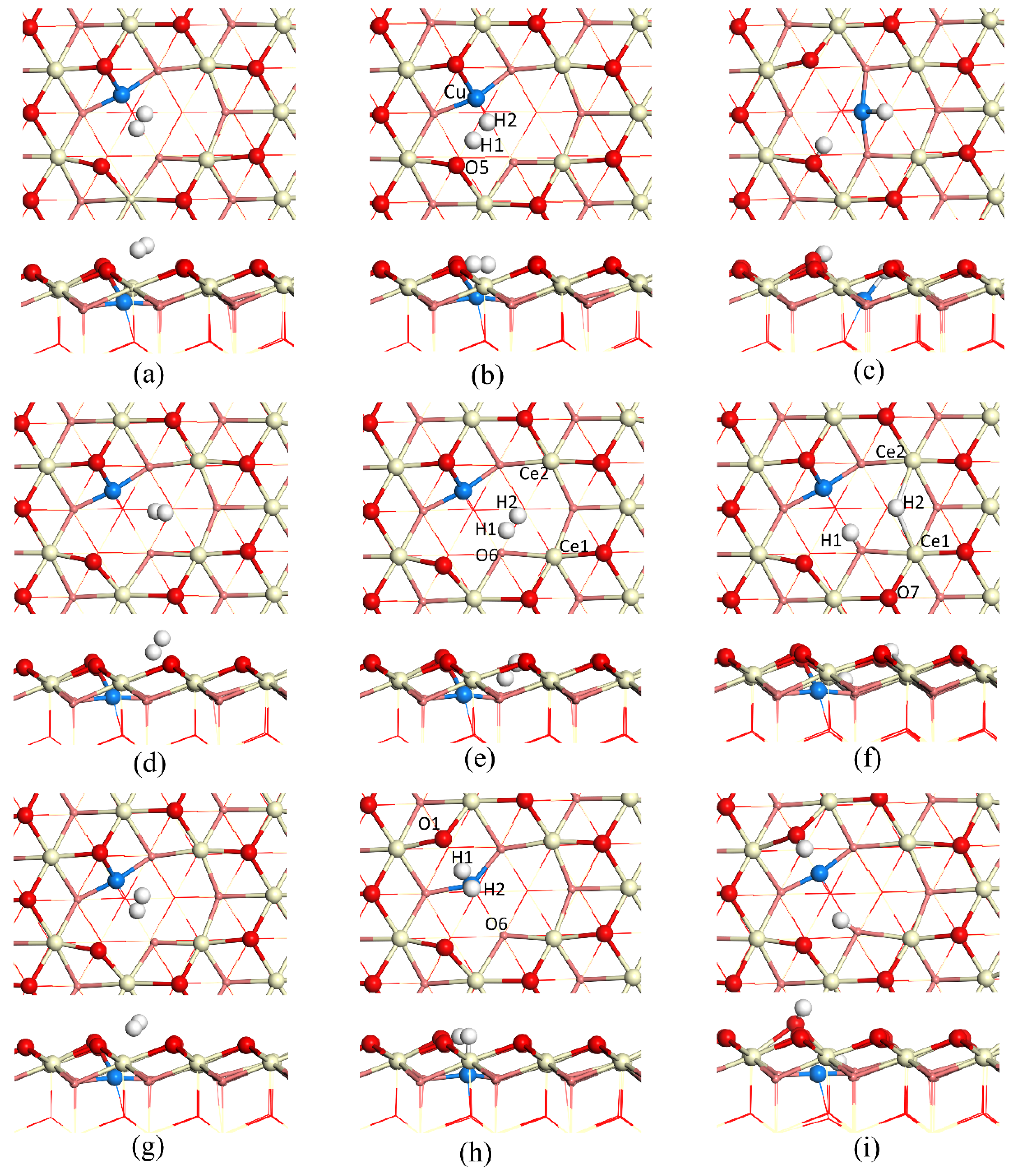 Catalysts 12 00074 g002