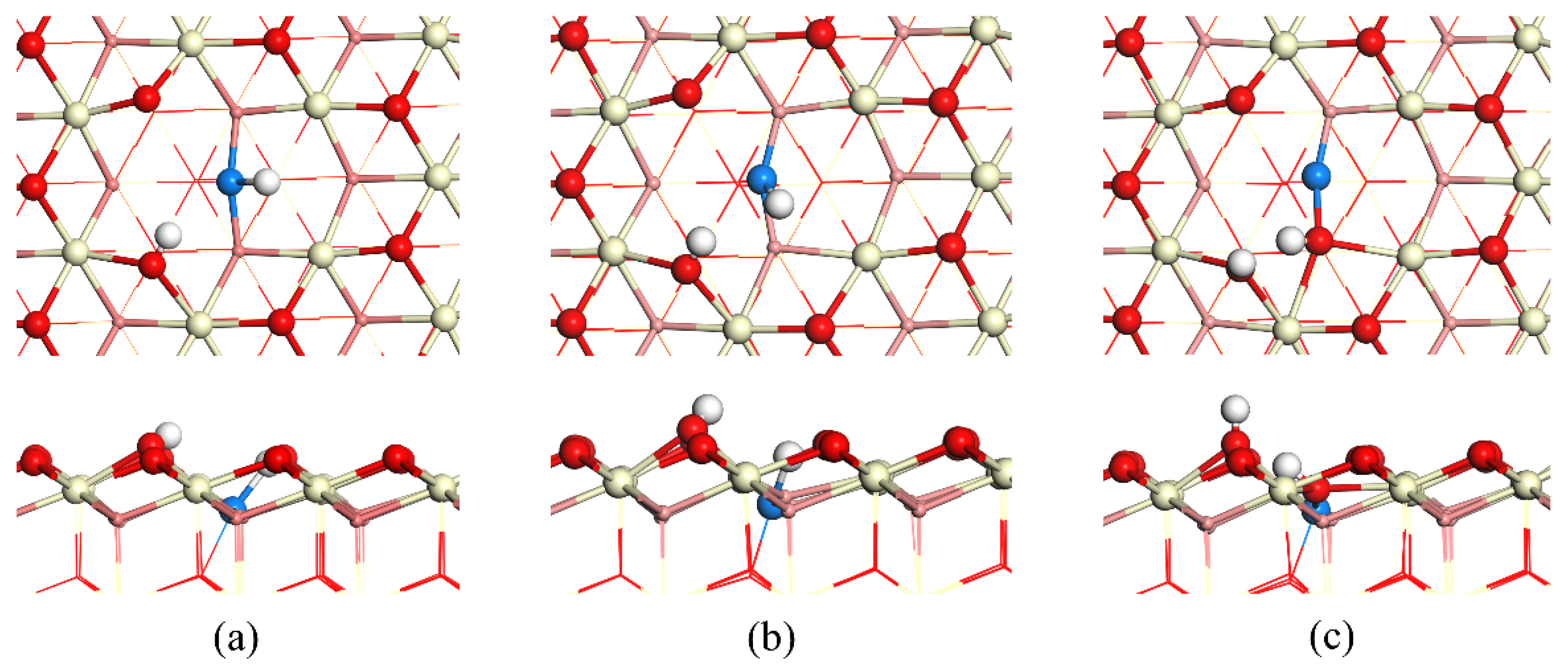 Catalysts 12 00074 g003