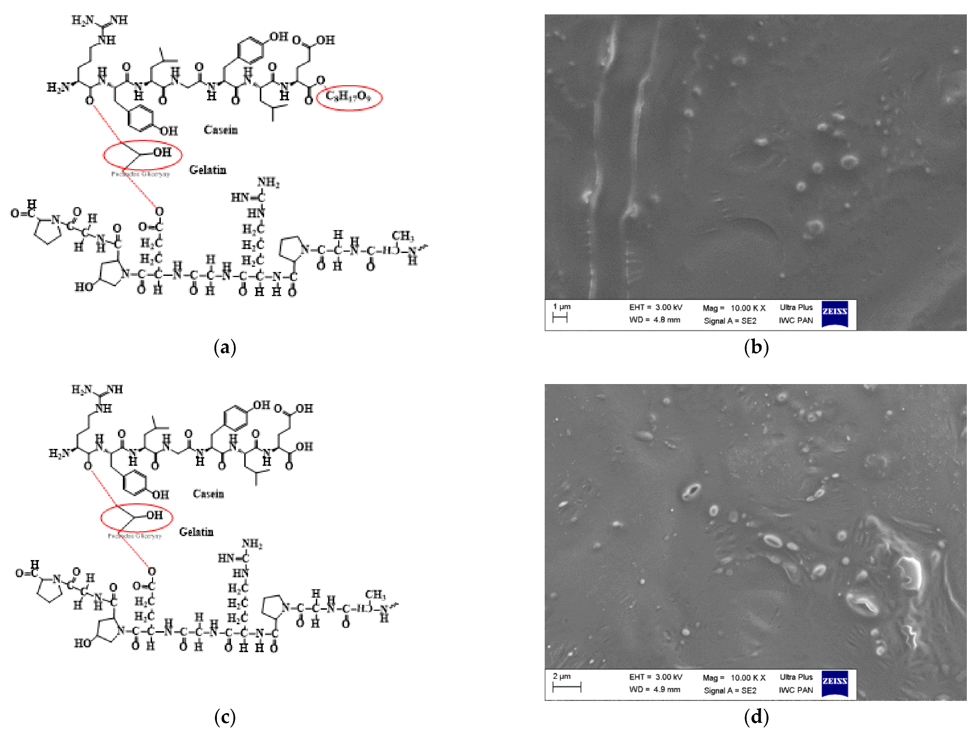 Catalysts 12 00077 g004a 550