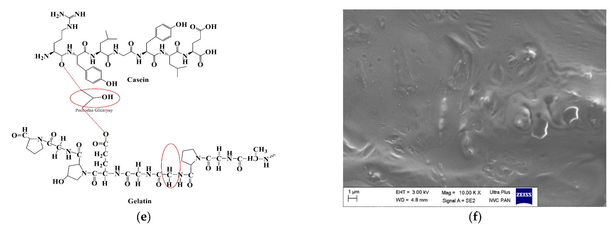 Catalysts 12 00077 g004b 550