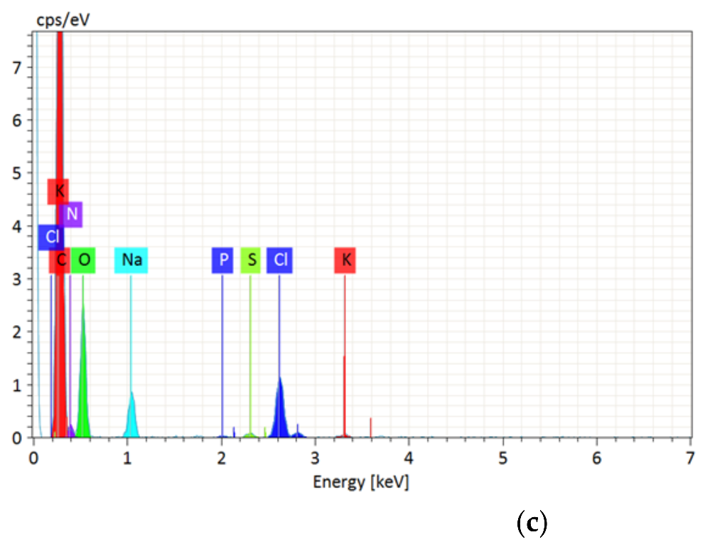 Catalysts 12 00077 g005b 550