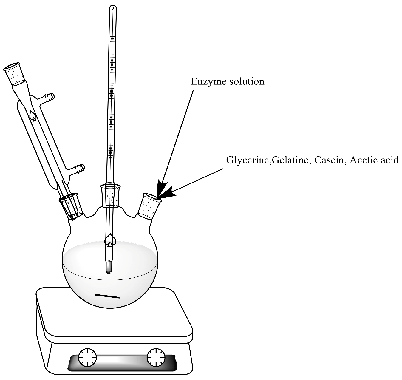 Catalysts 12 00077 g011 550