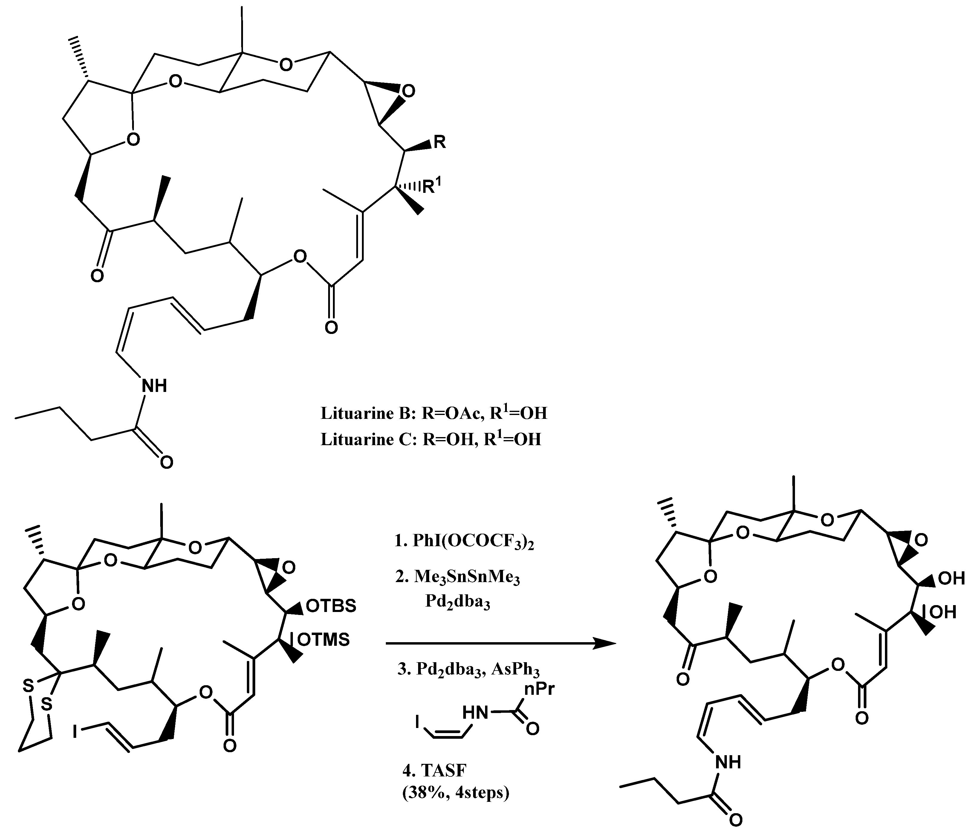 Catalysts 12 00086 sch014