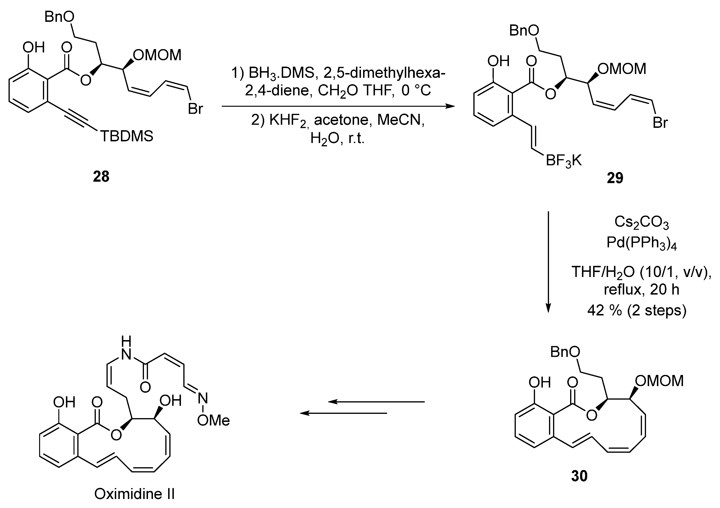 Catalysts 12 00086 sch017