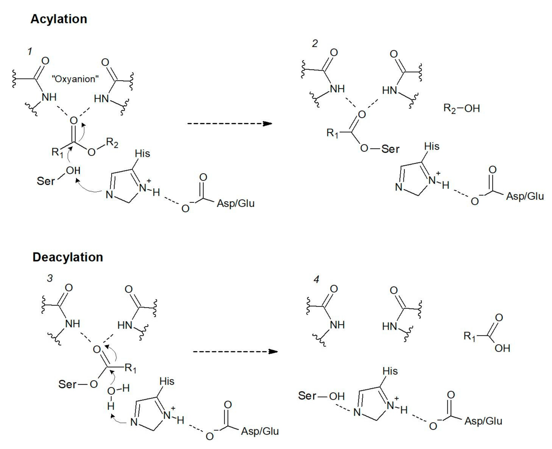 Catalysts 12 00088 g002