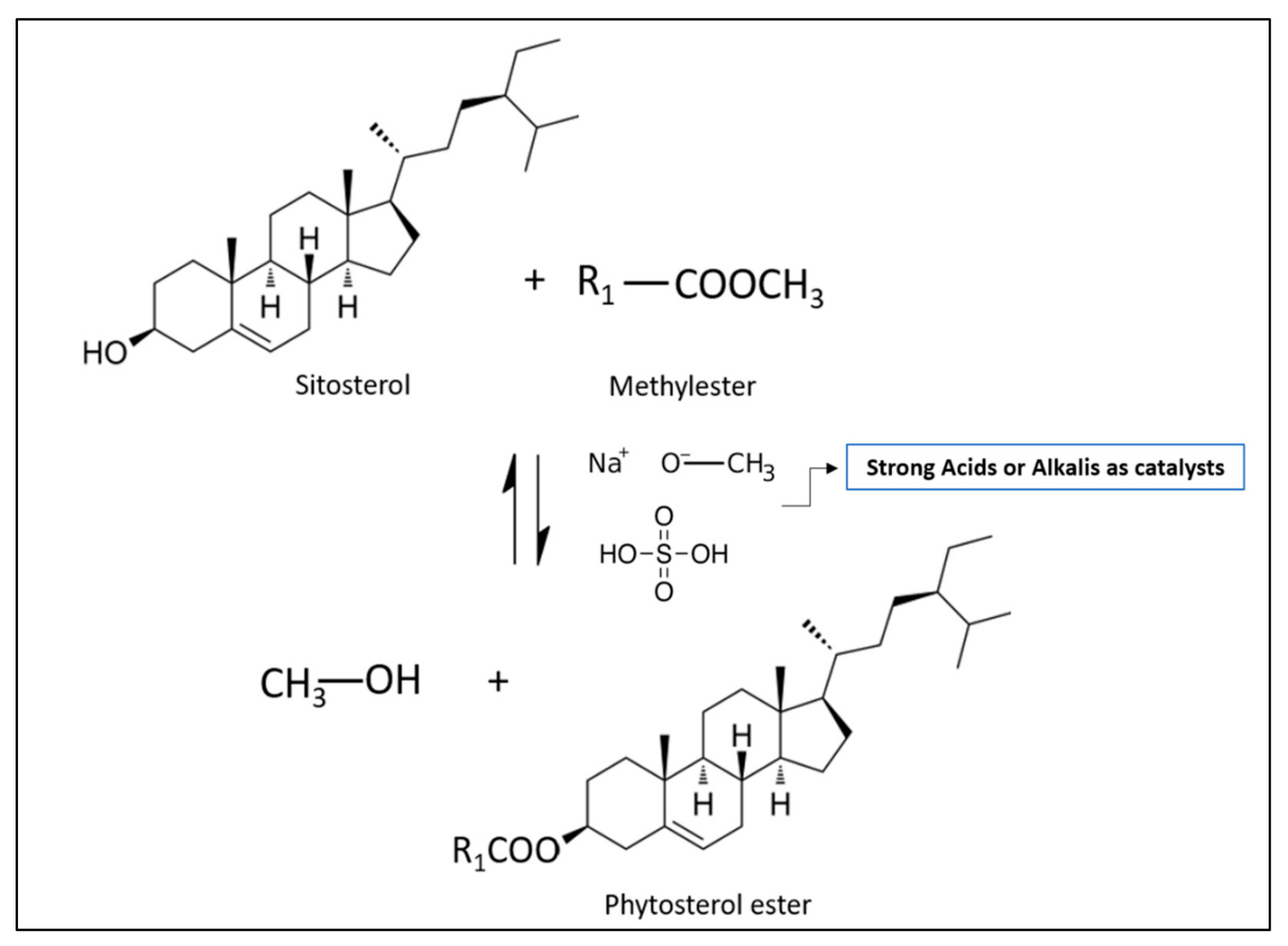 Catalysts 12 00088 g003