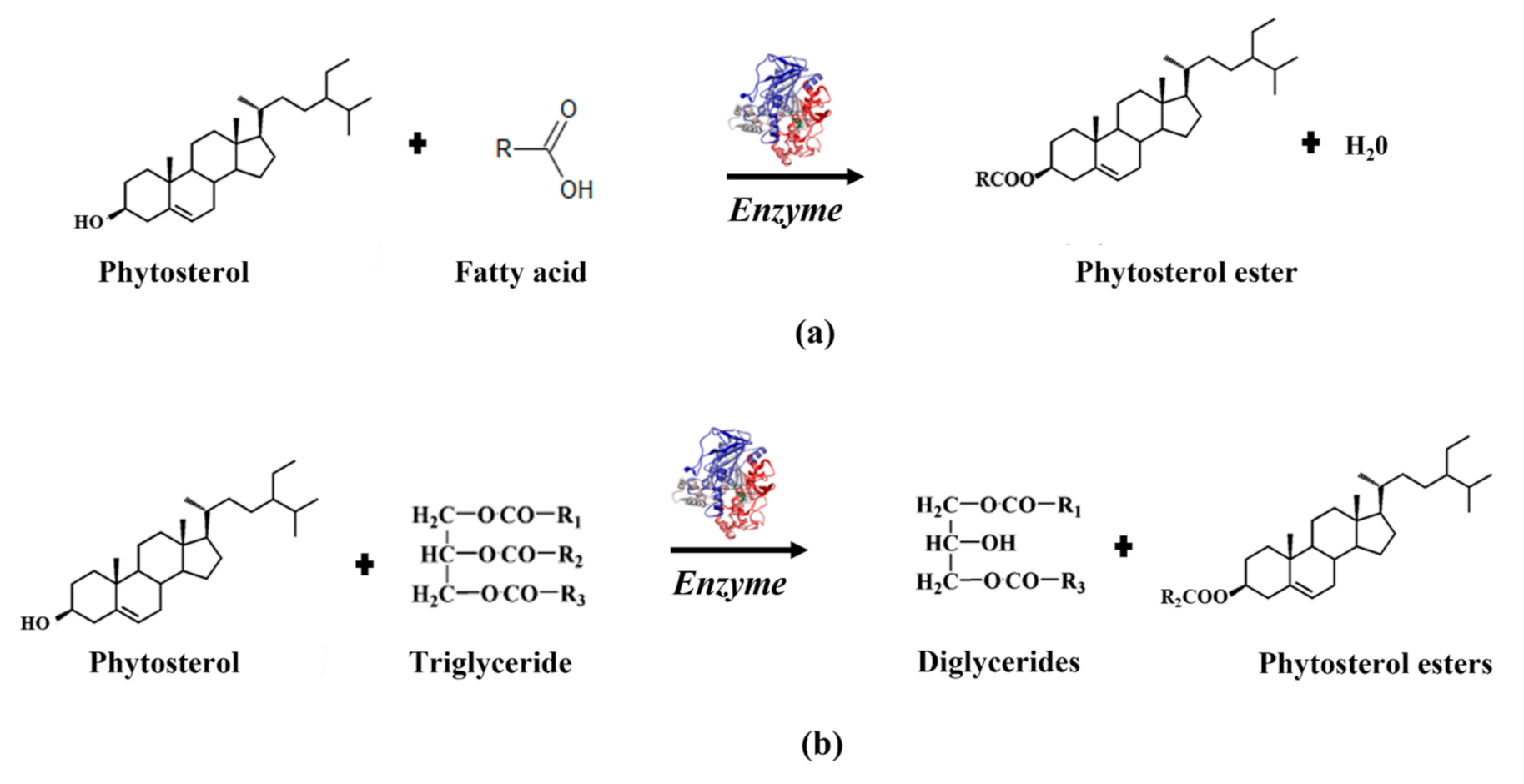 Catalysts 12 00088 g004