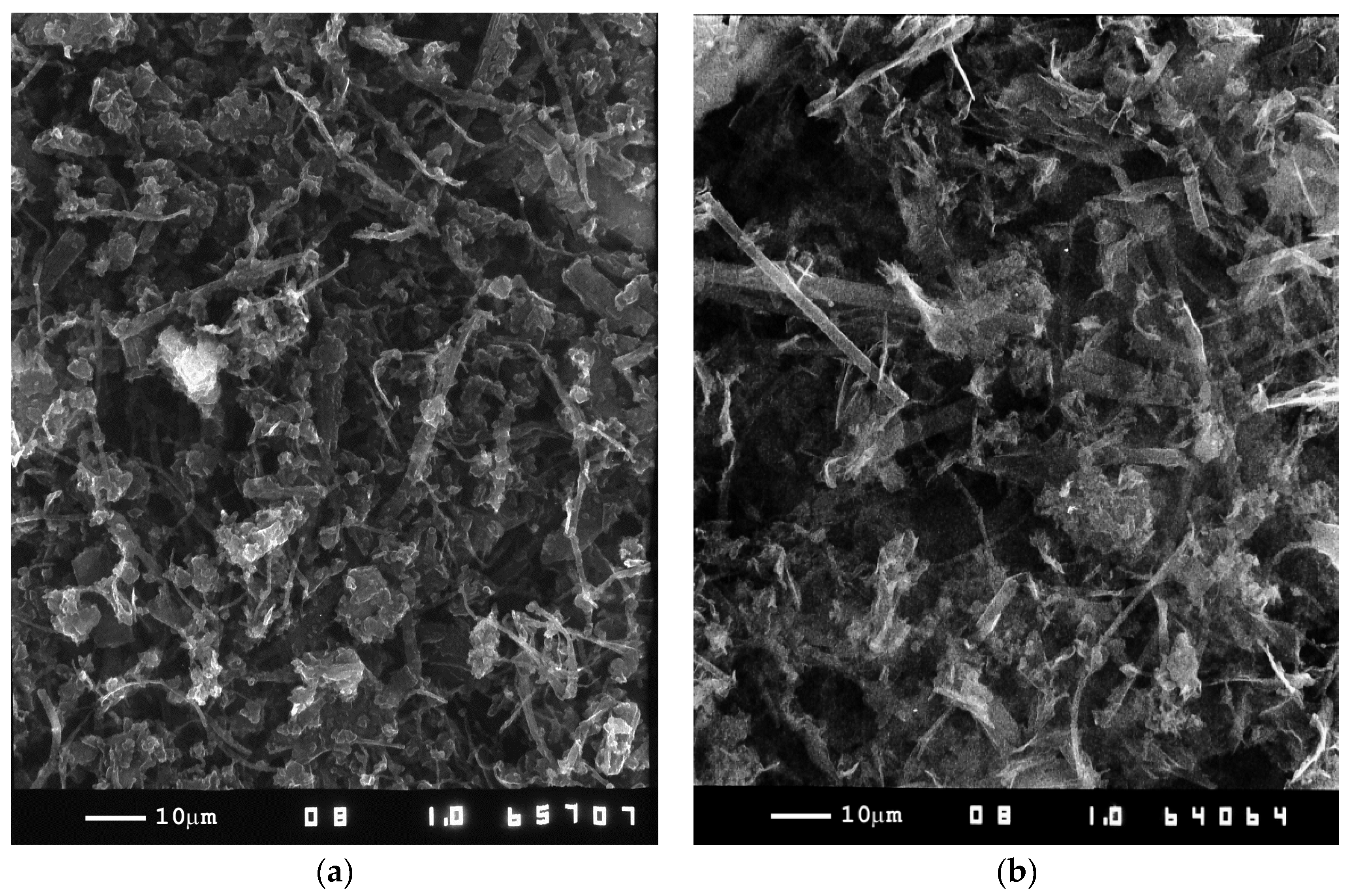 Catalysts 12 00093 g003