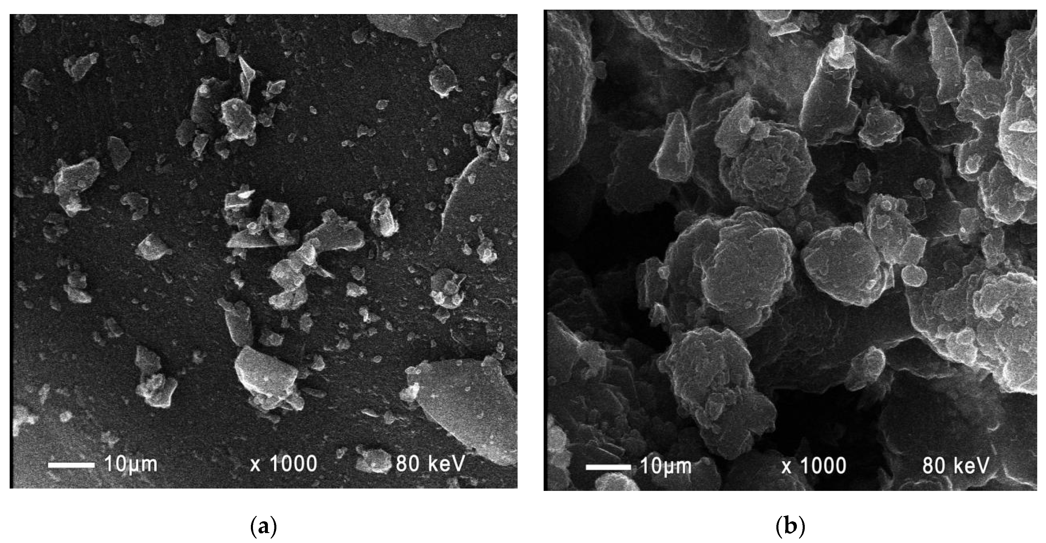 Catalysts 12 00093 g004