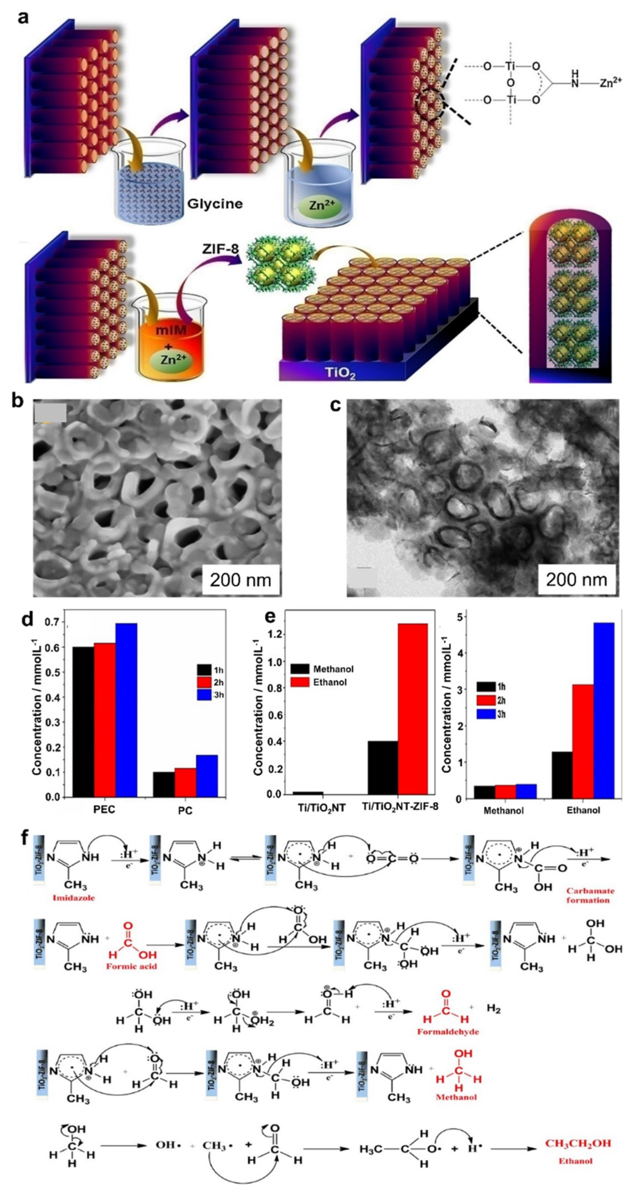 Catalysts 12 00094 g008 550