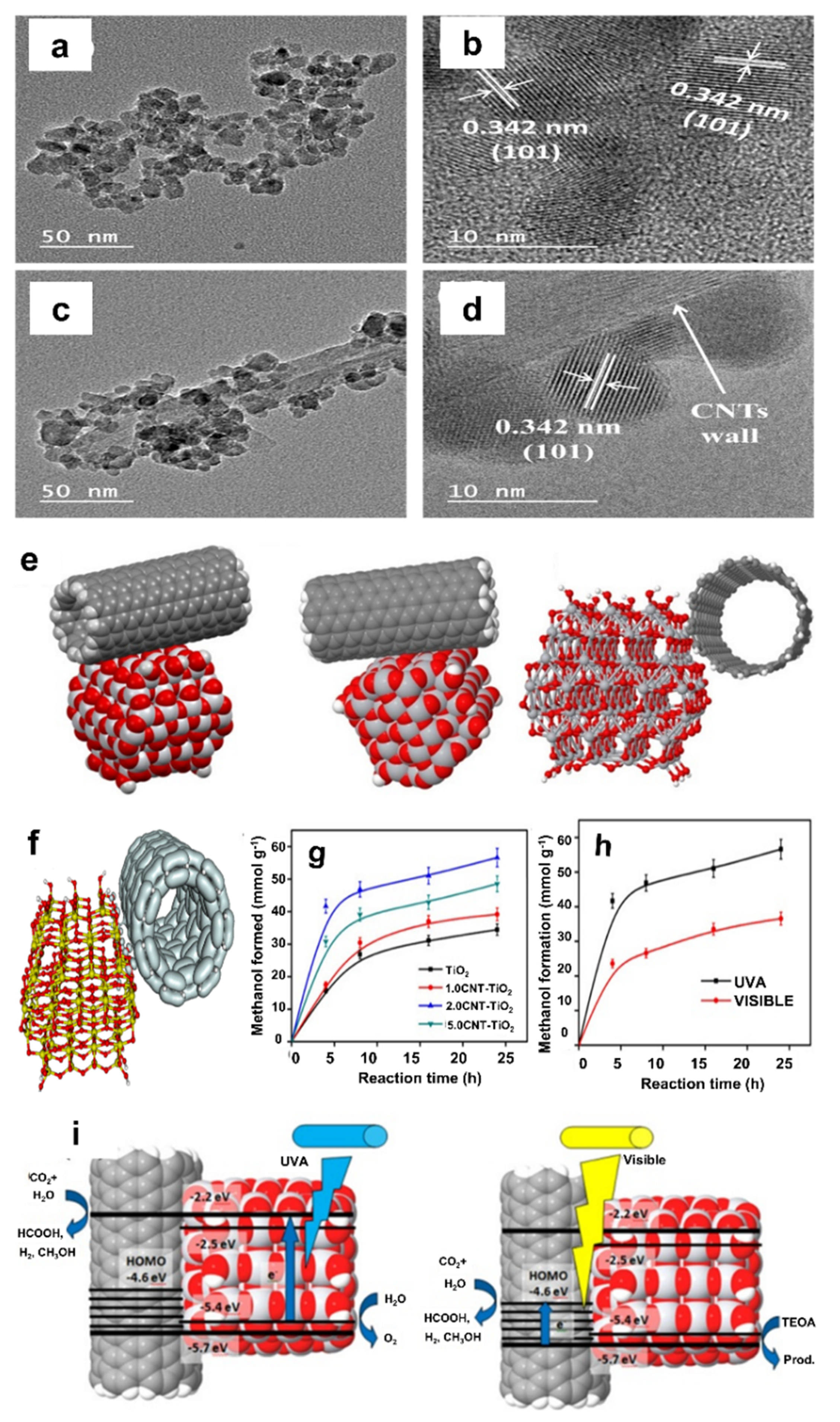 Catalysts 12 00094 g019 550