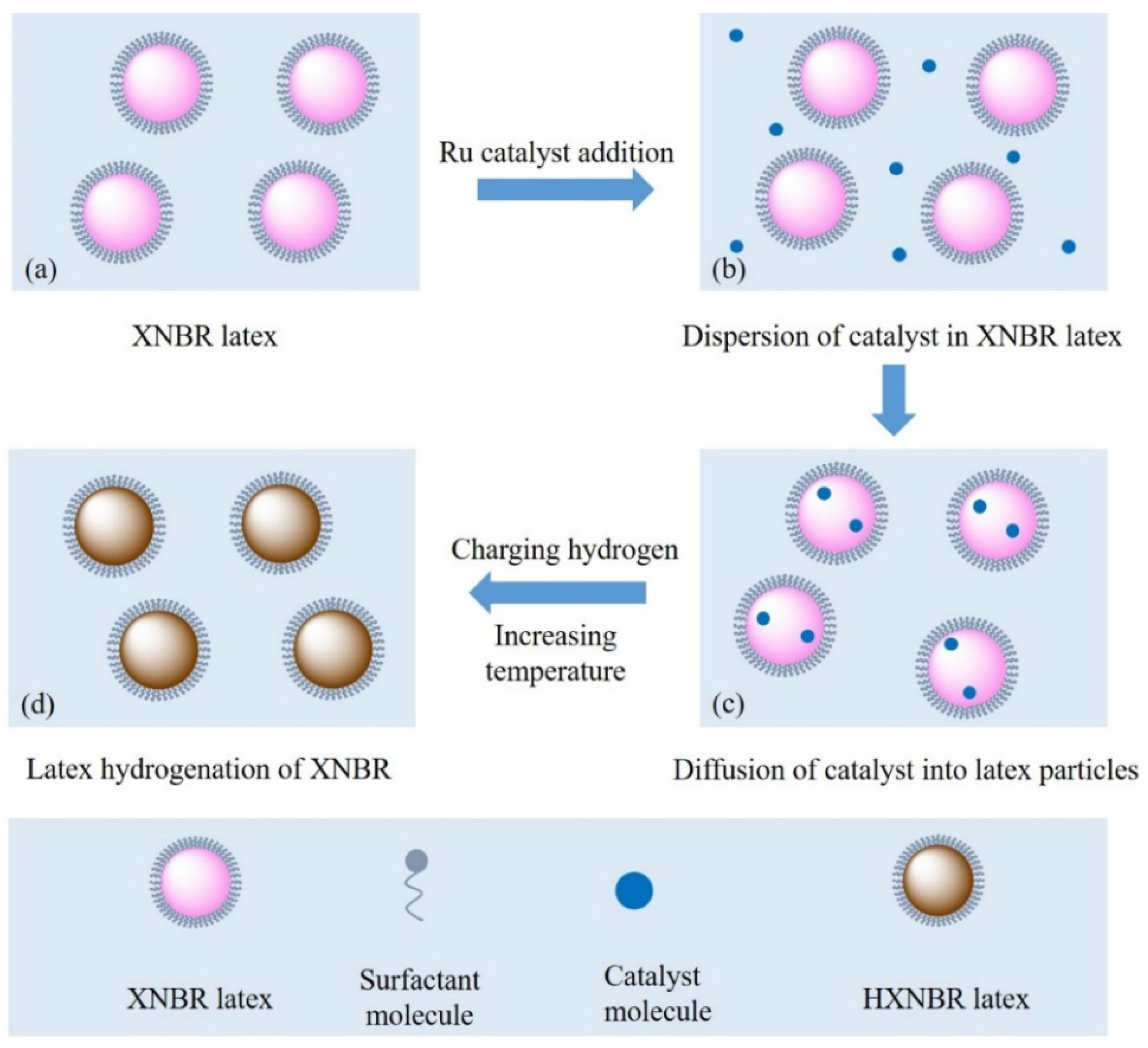 Catalysts Free FullText Hydrogenation of Carboxyl Nitrile