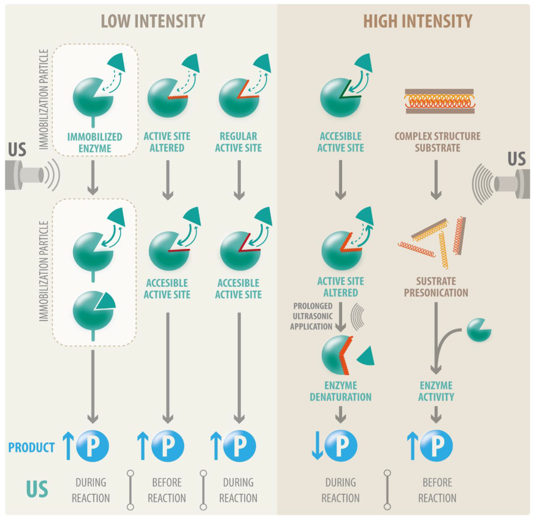 Catalysts 12 00107 g004