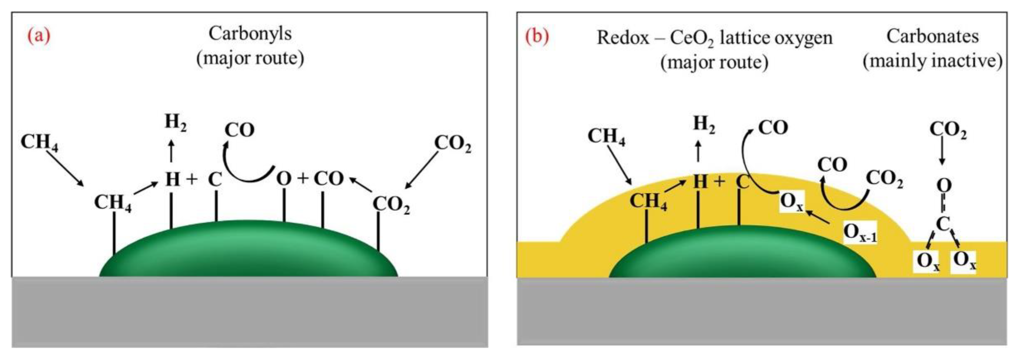 Catalysts 12 00109 g005