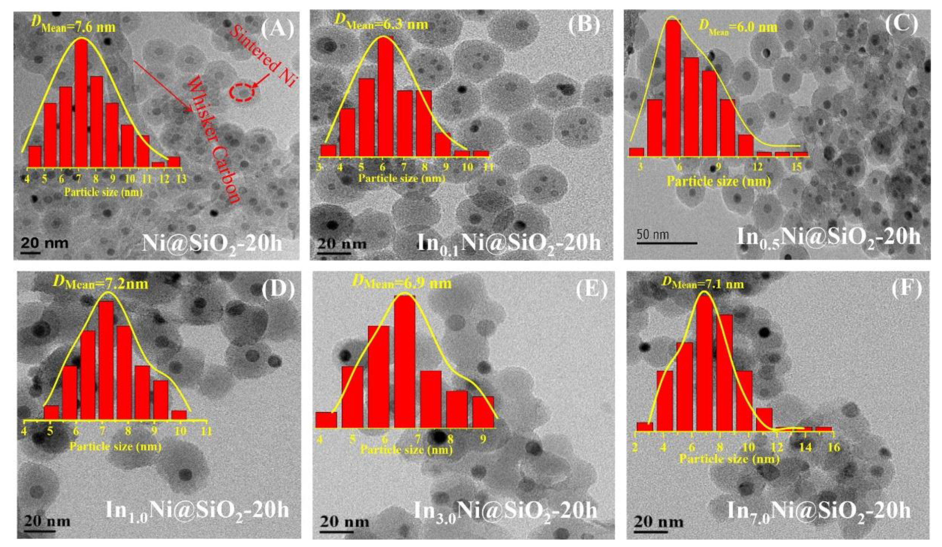Catalysts 12 00109 g008