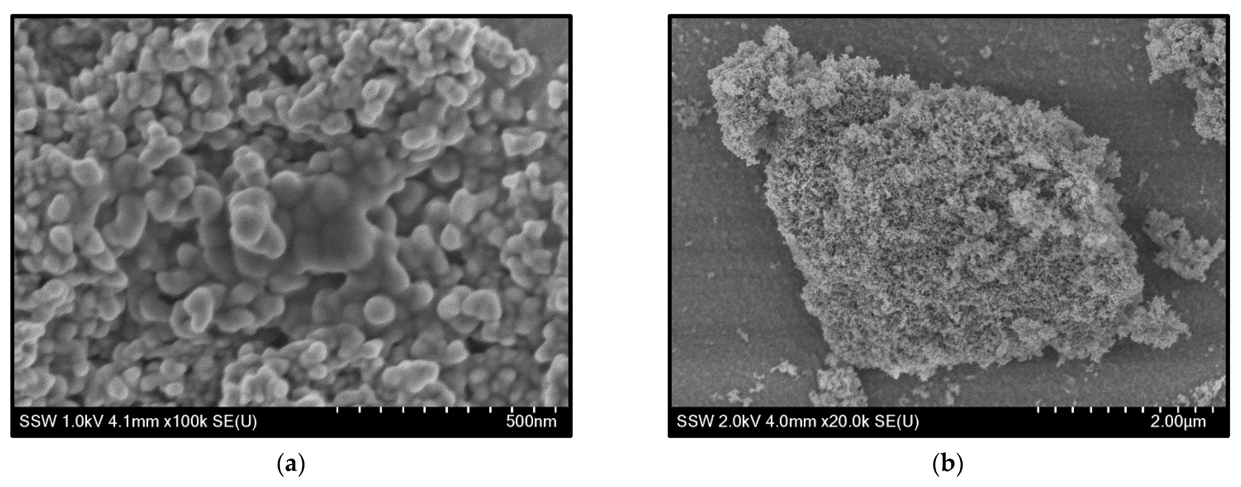 Catalysts 12 00113 g0a1 550