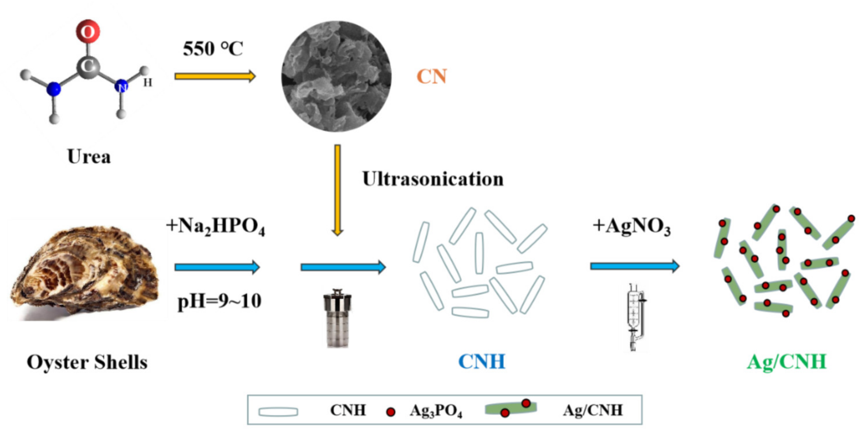 Catalysts 12 00115 g011 550