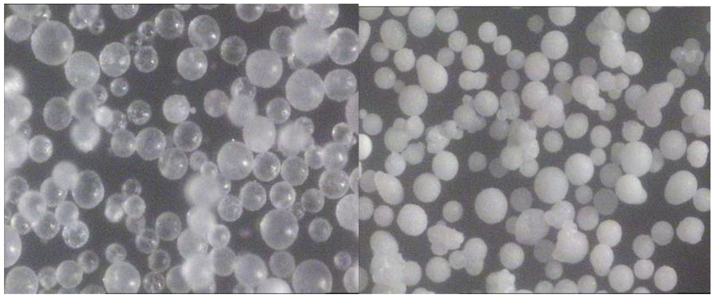 Catalysts 12 00117 g006