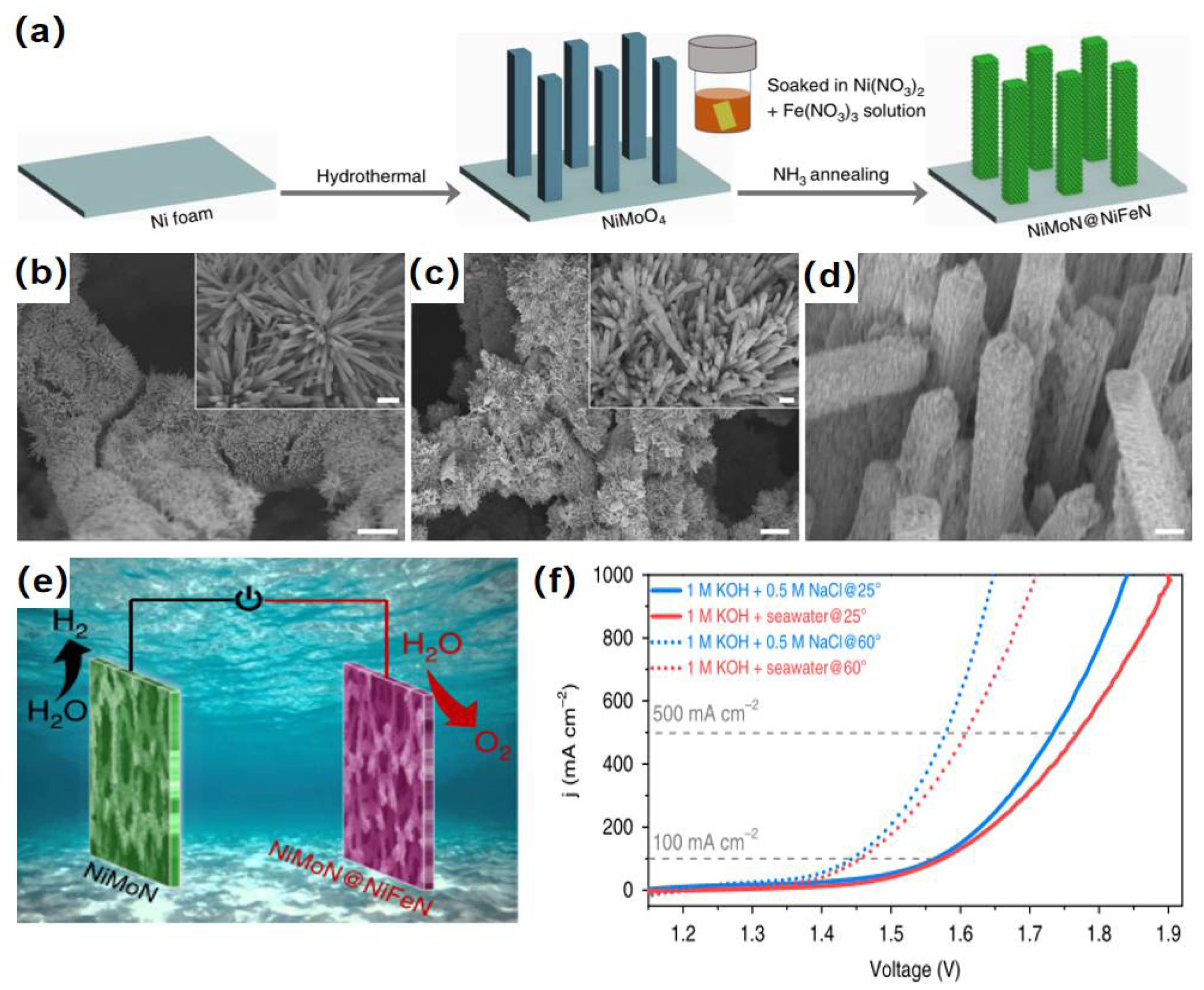 Catalysts 12 00123 g004 550