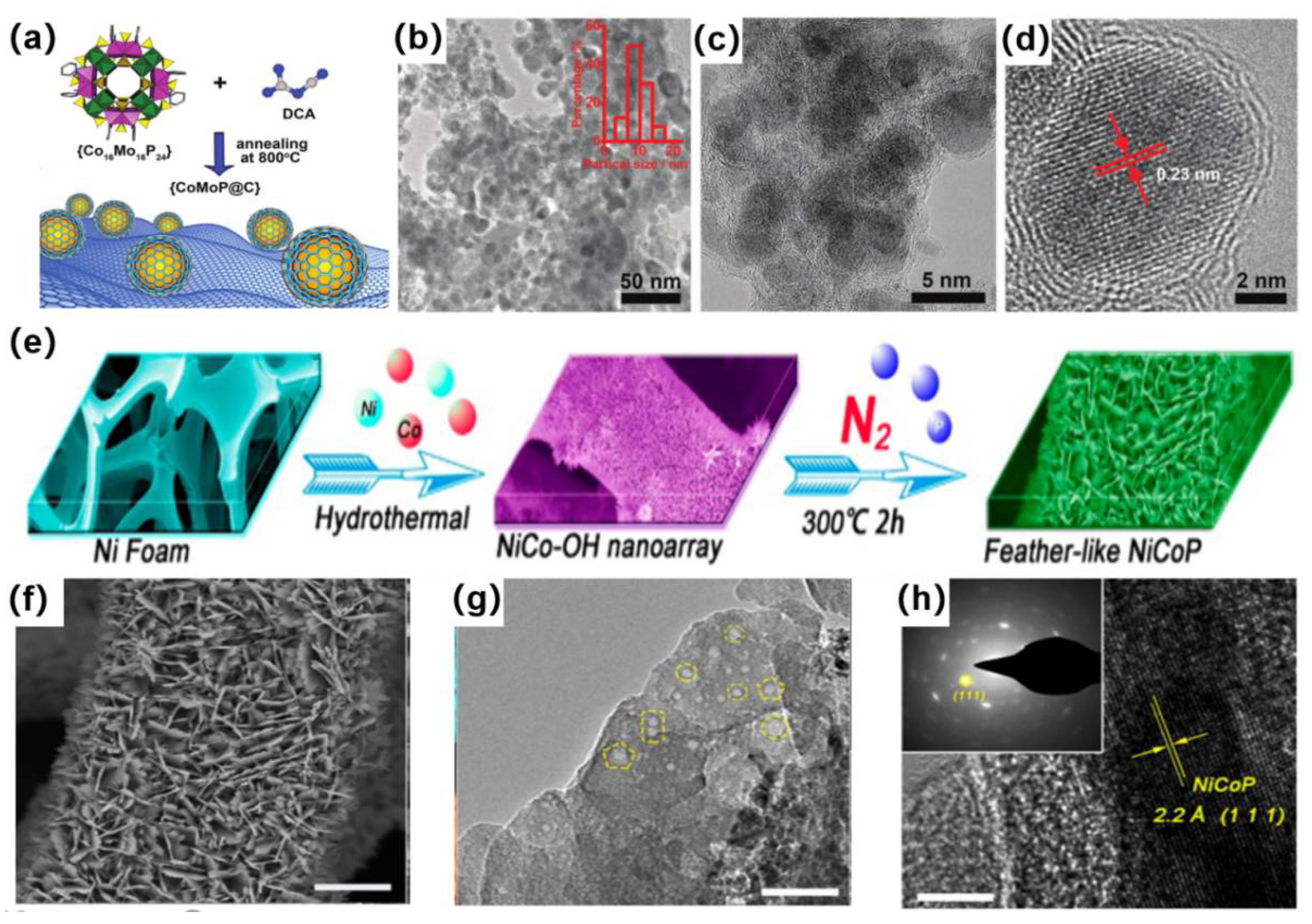 Catalysts 12 00123 g007 550