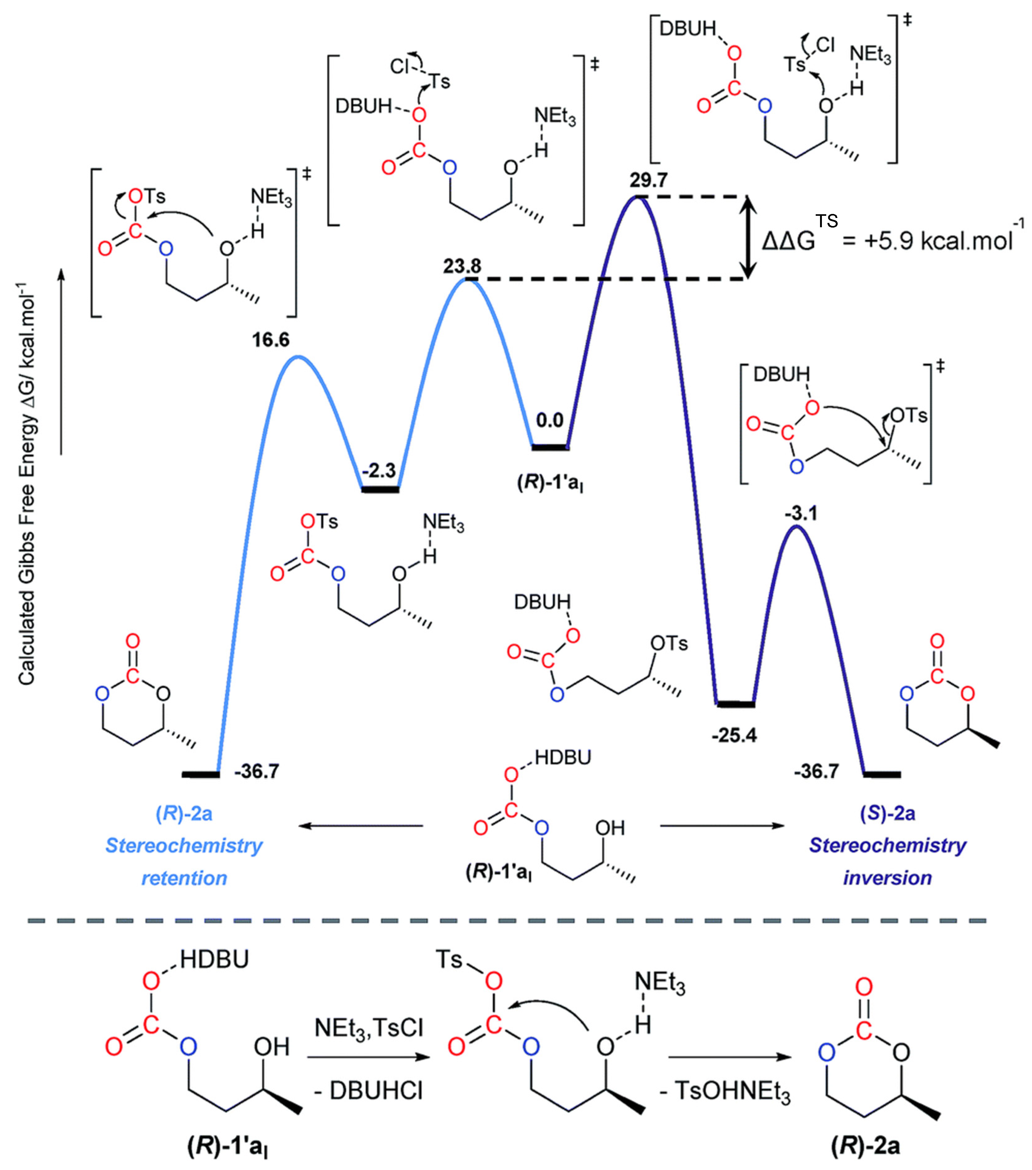 Catalysts 12 00124 sch014 Catalysts 12 00124 sch014