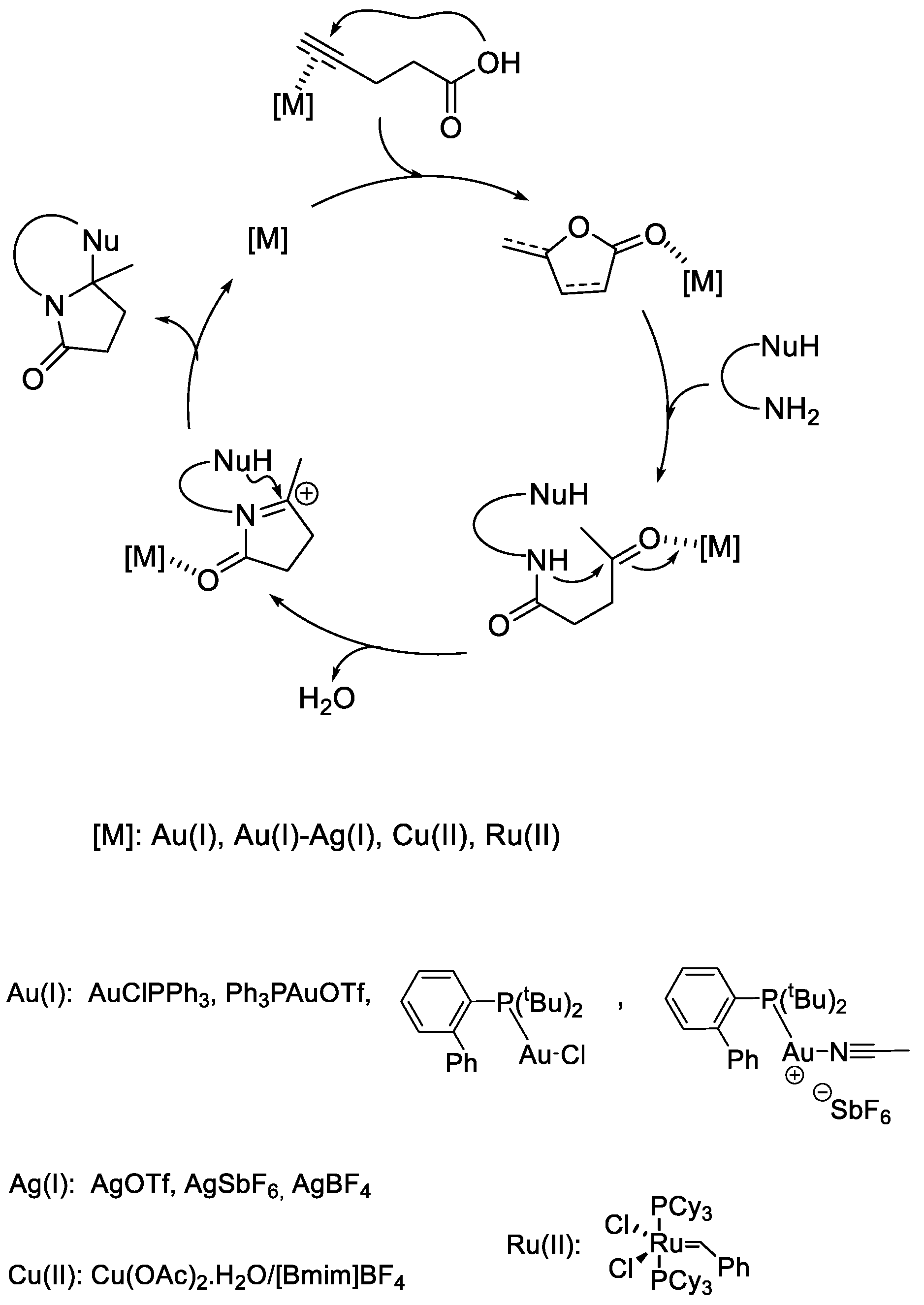 Catalysts 12 00127 sch001