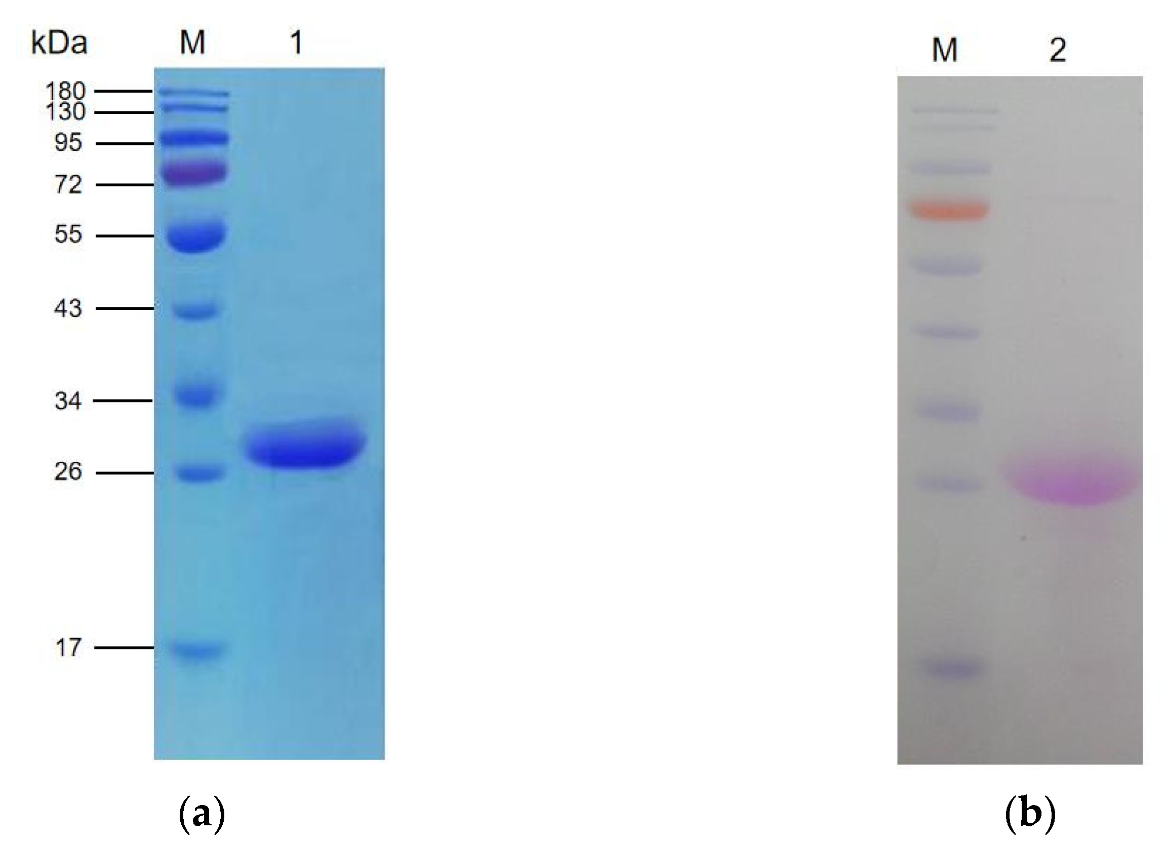 Catalysts 12 00139 g001