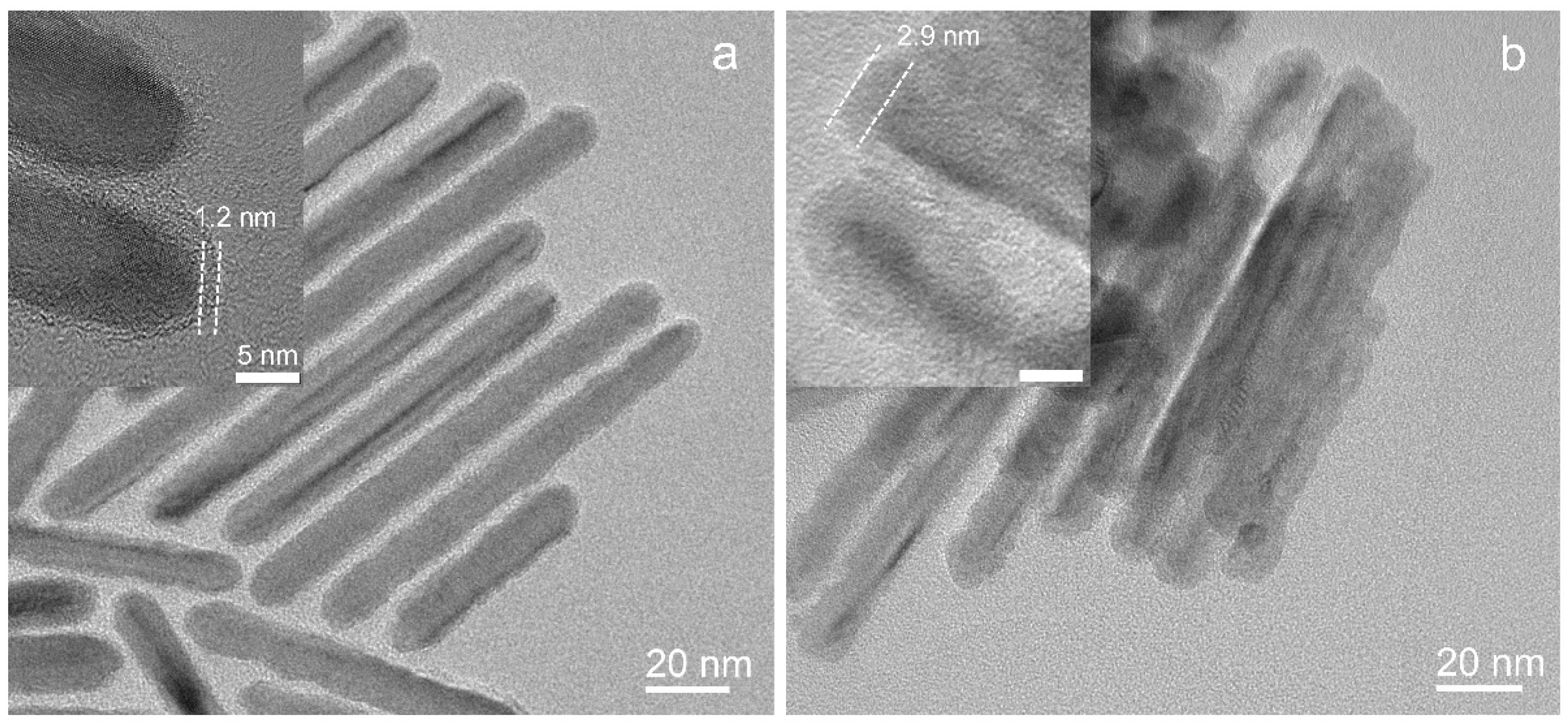Catalysts 12 00147 g004