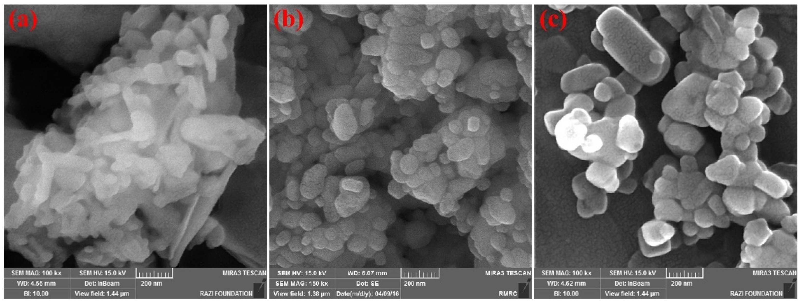 Catalysts 12 00155 g003