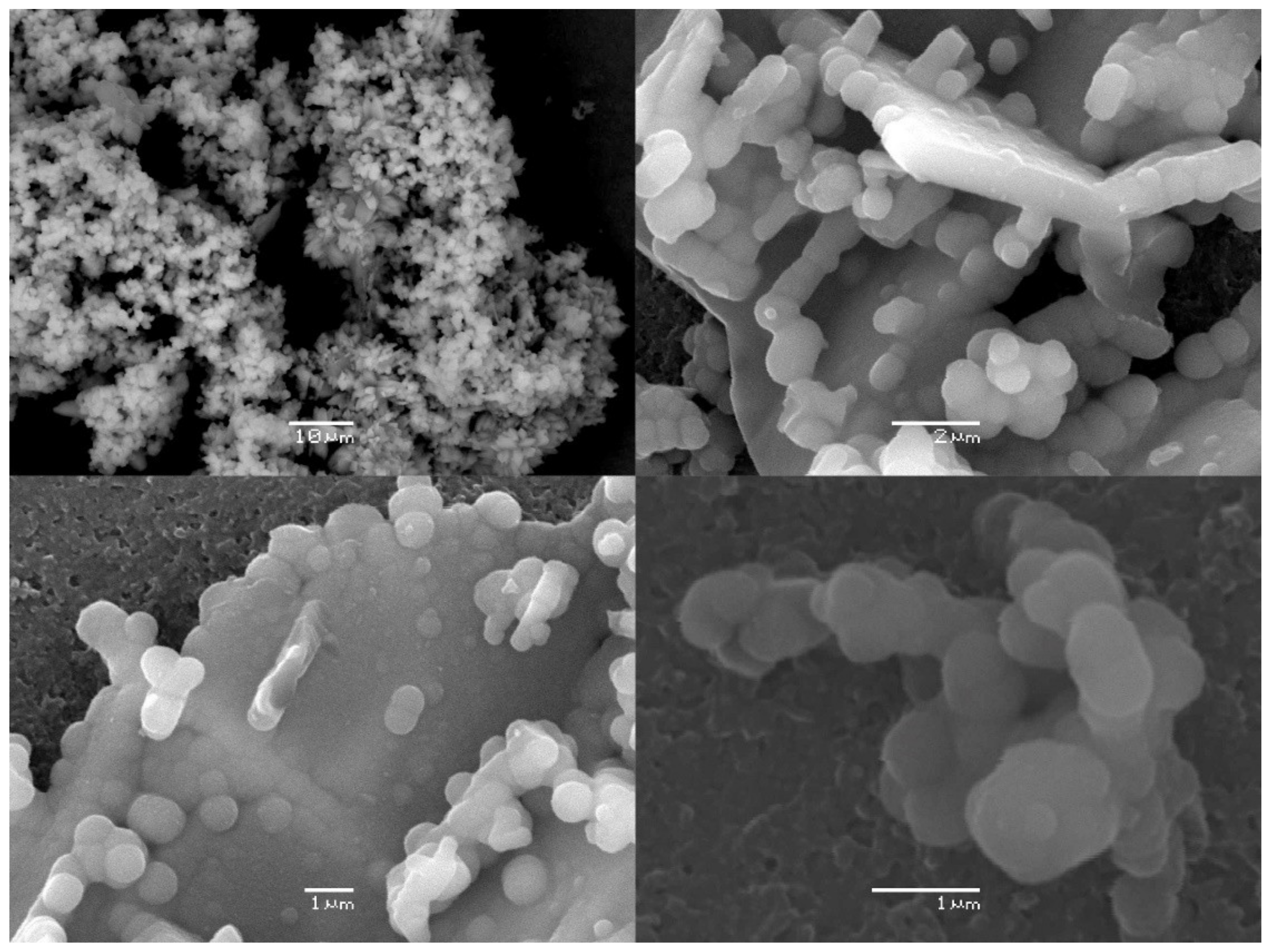 Catalysts 12 00162 g002