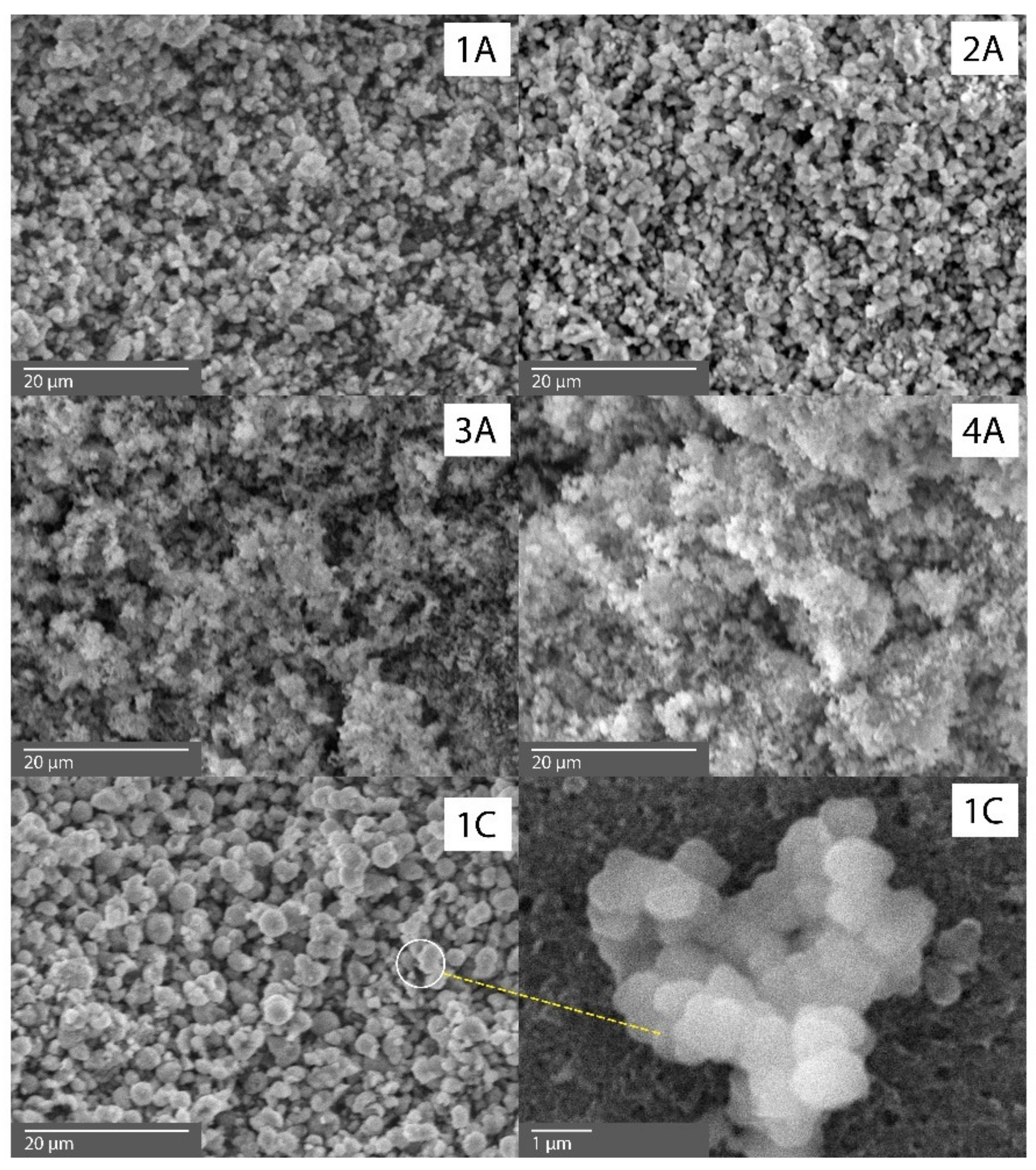 Catalysts 12 00162 g003