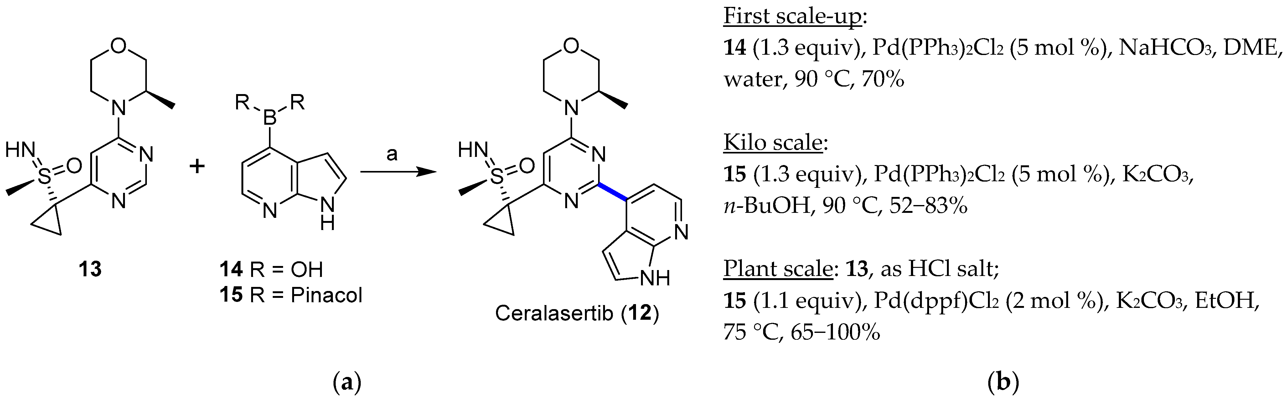 Catalysts 12 00164 g004