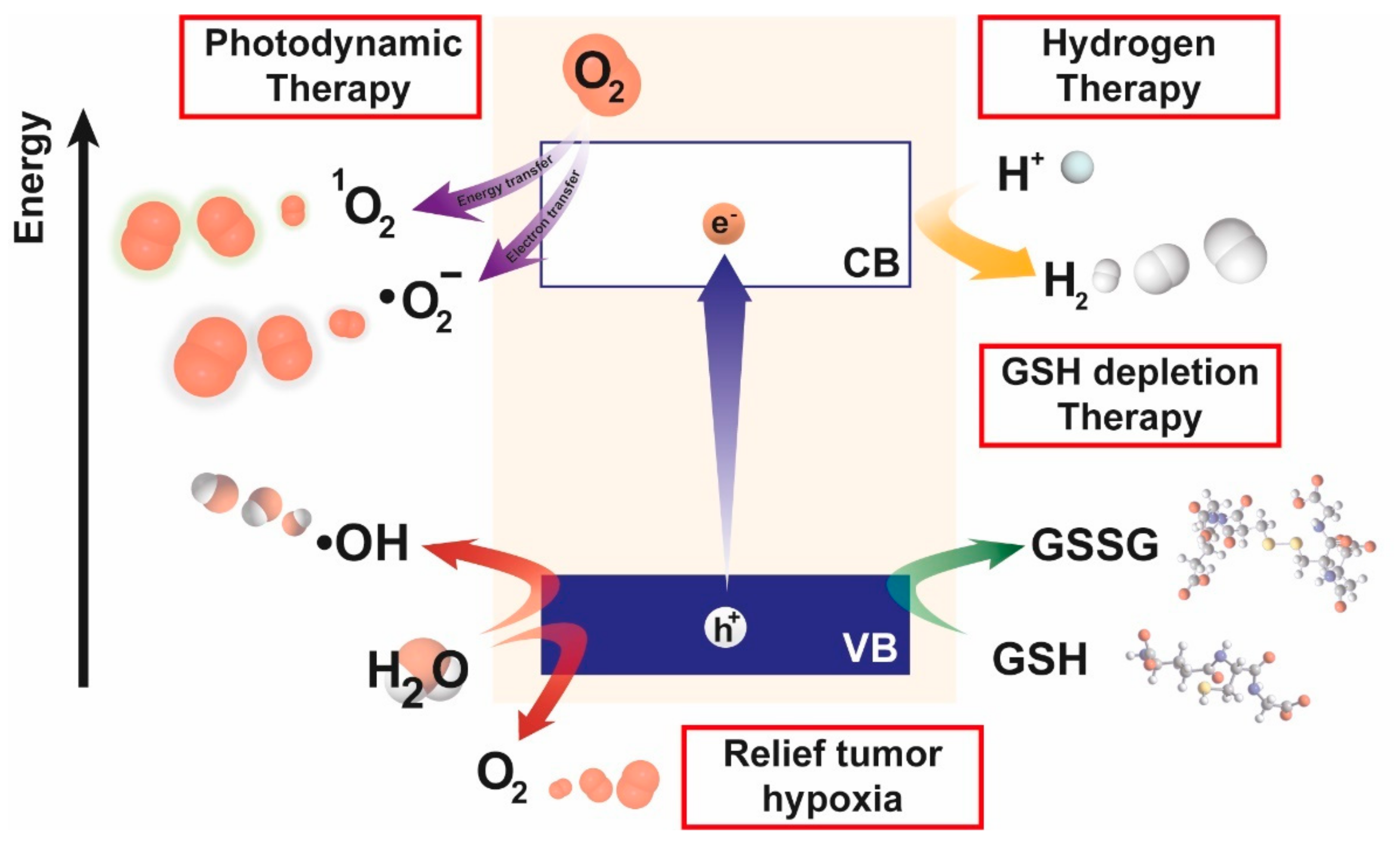 Catalysts 12 00167 g002