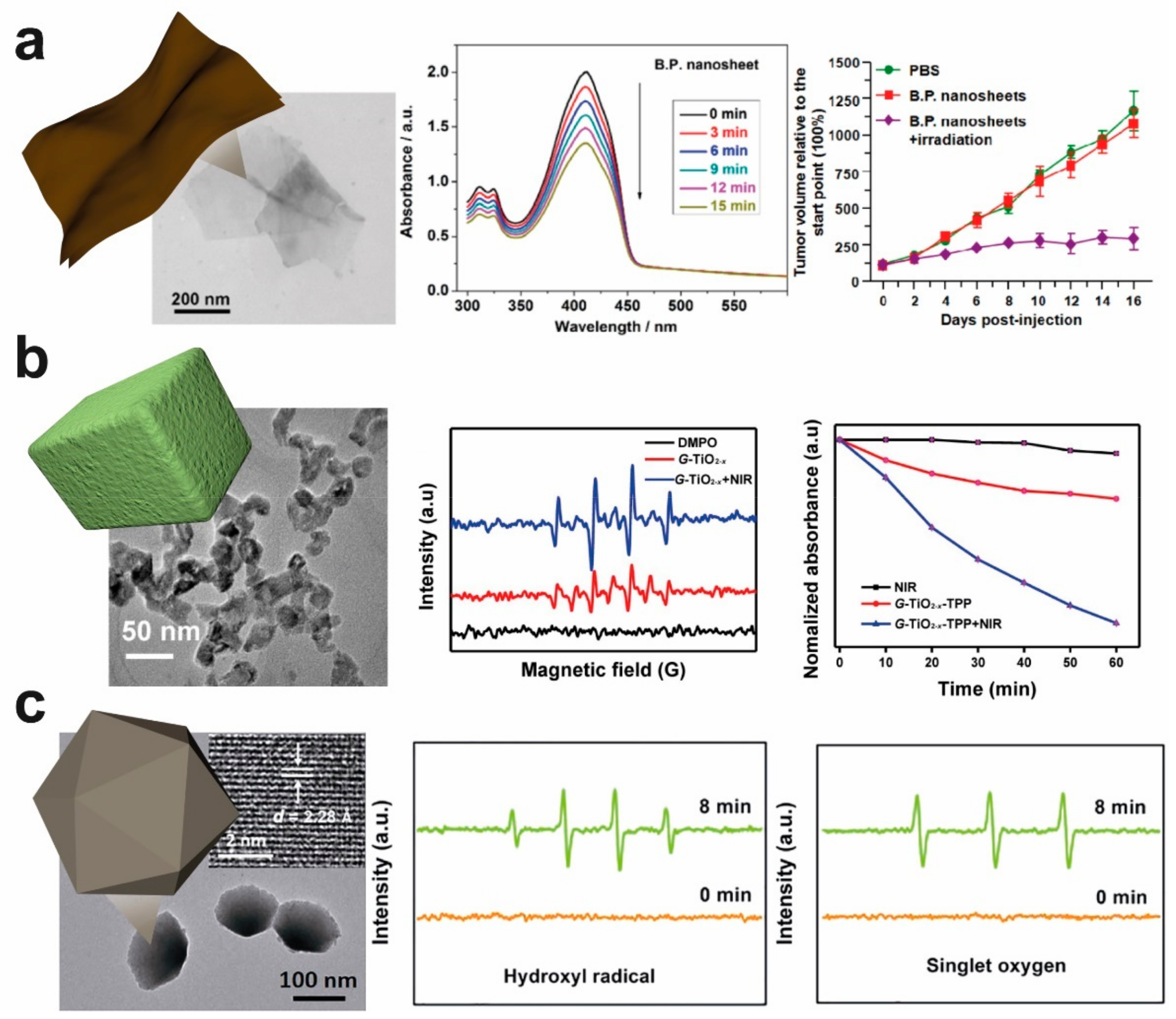 Catalysts 12 00167 g003