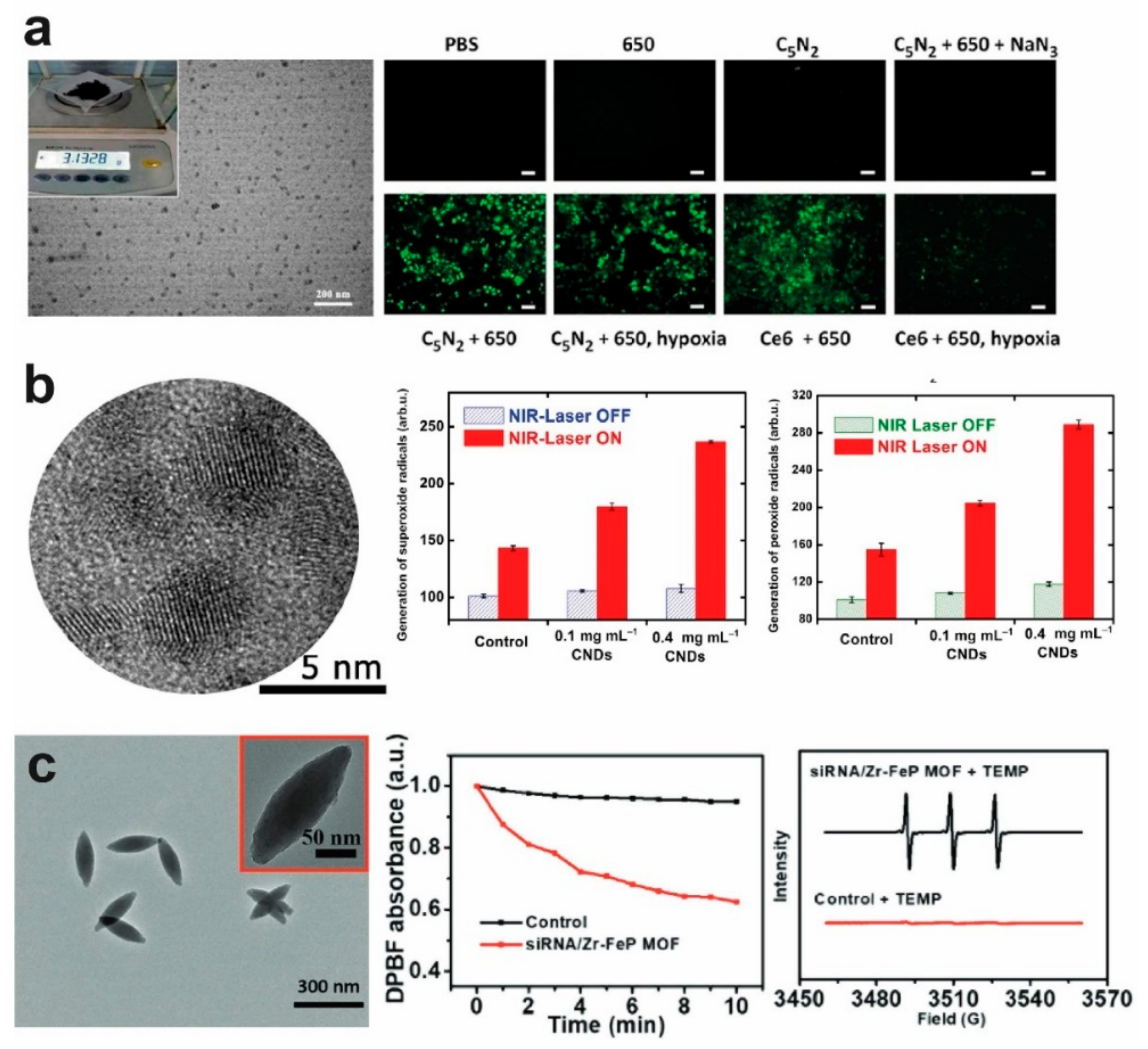 Catalysts 12 00167 g004