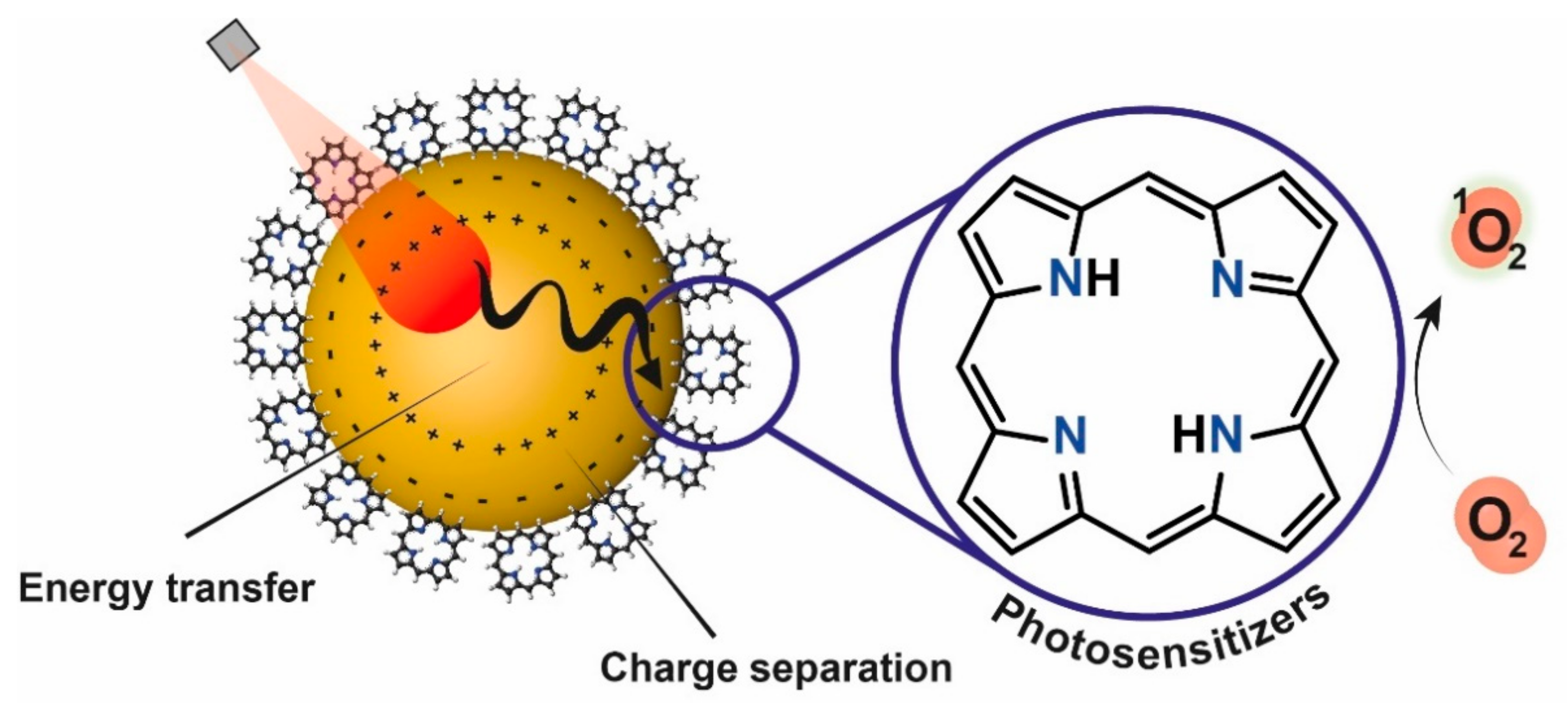 Catalysts 12 00167 g005