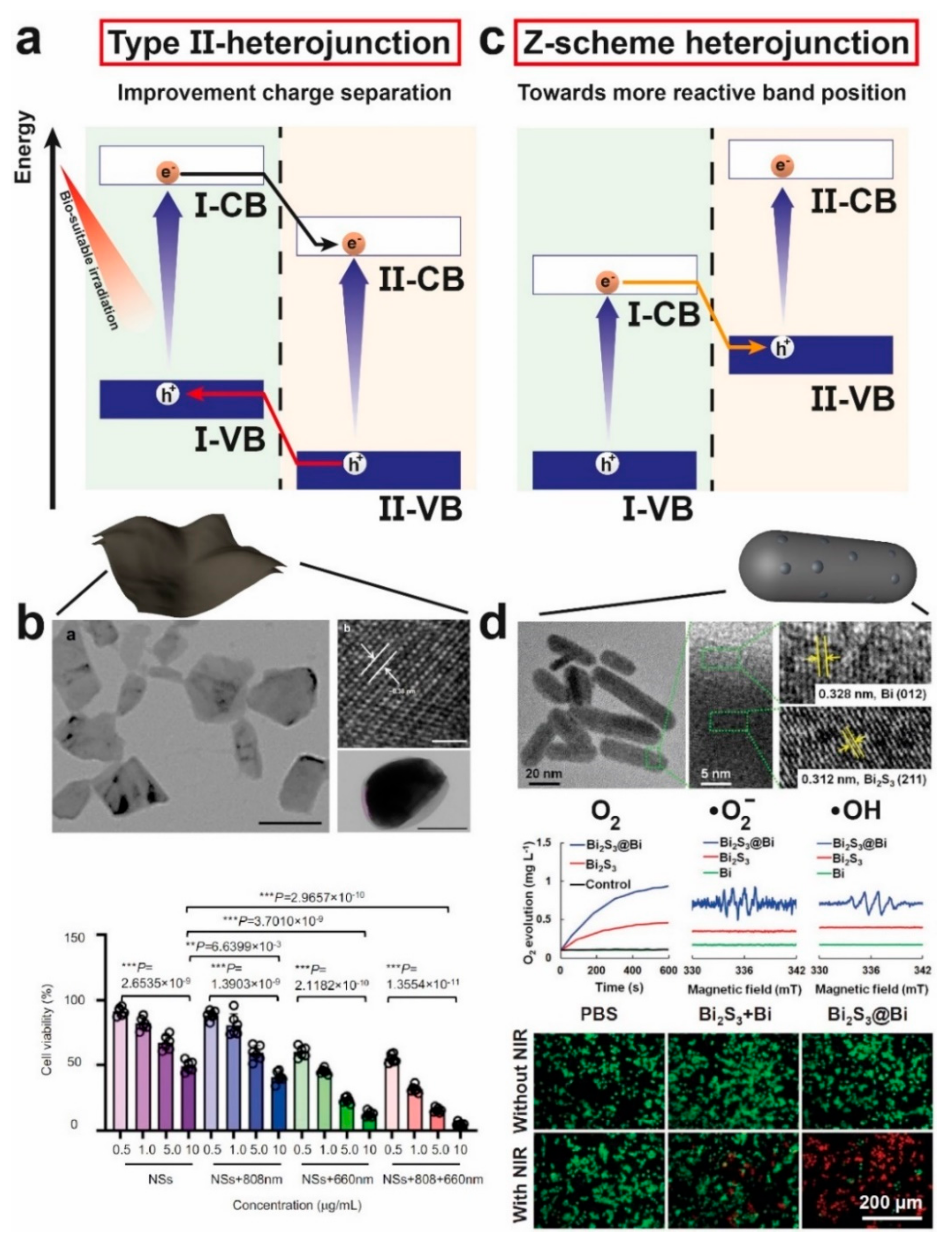 Catalysts 12 00167 g011