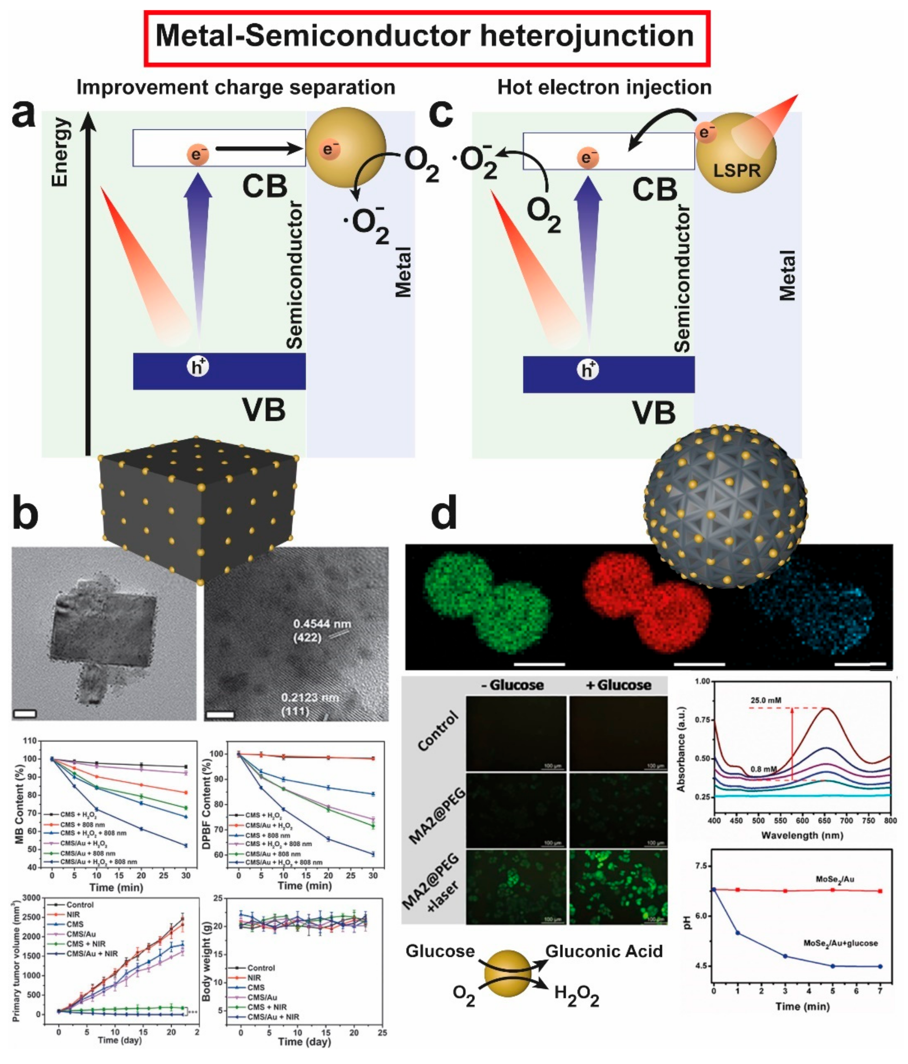 Catalysts 12 00167 g012