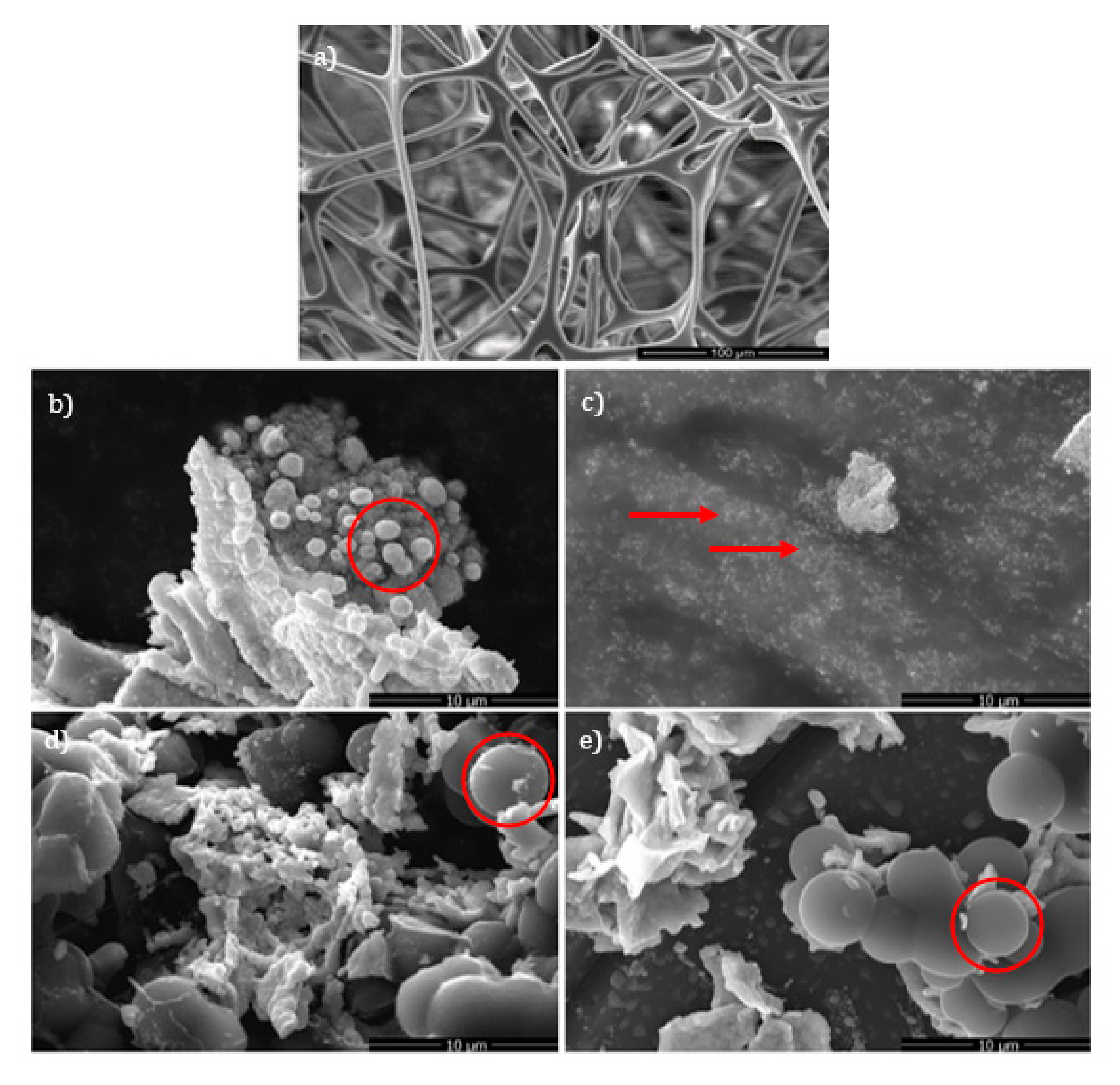 Catalysts 12 00170 g002