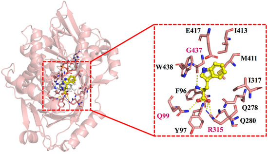 aminaseページ Semi-Rational Design of Proteus mirabilis l-Amino Acid